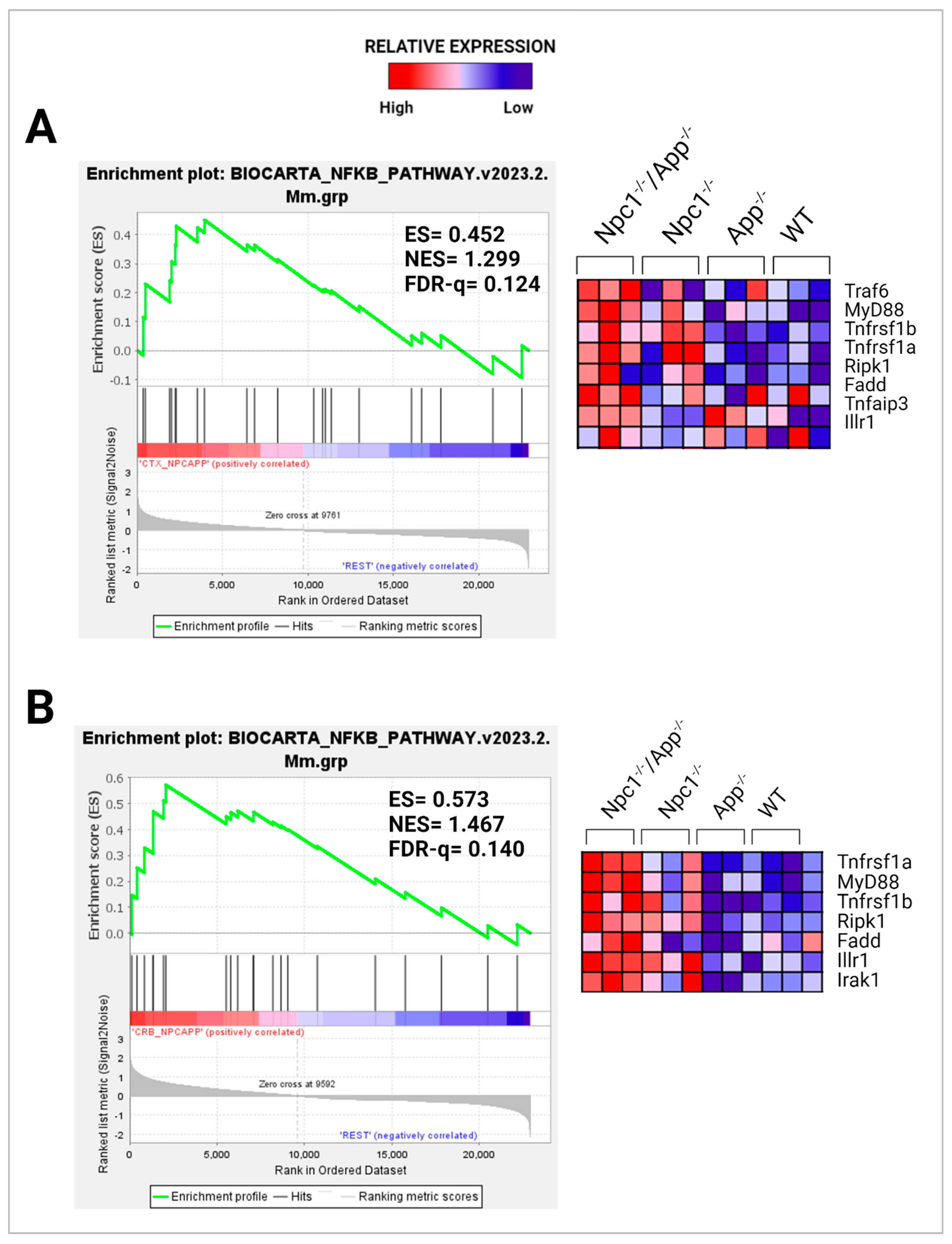 Genes 15 01066 g008