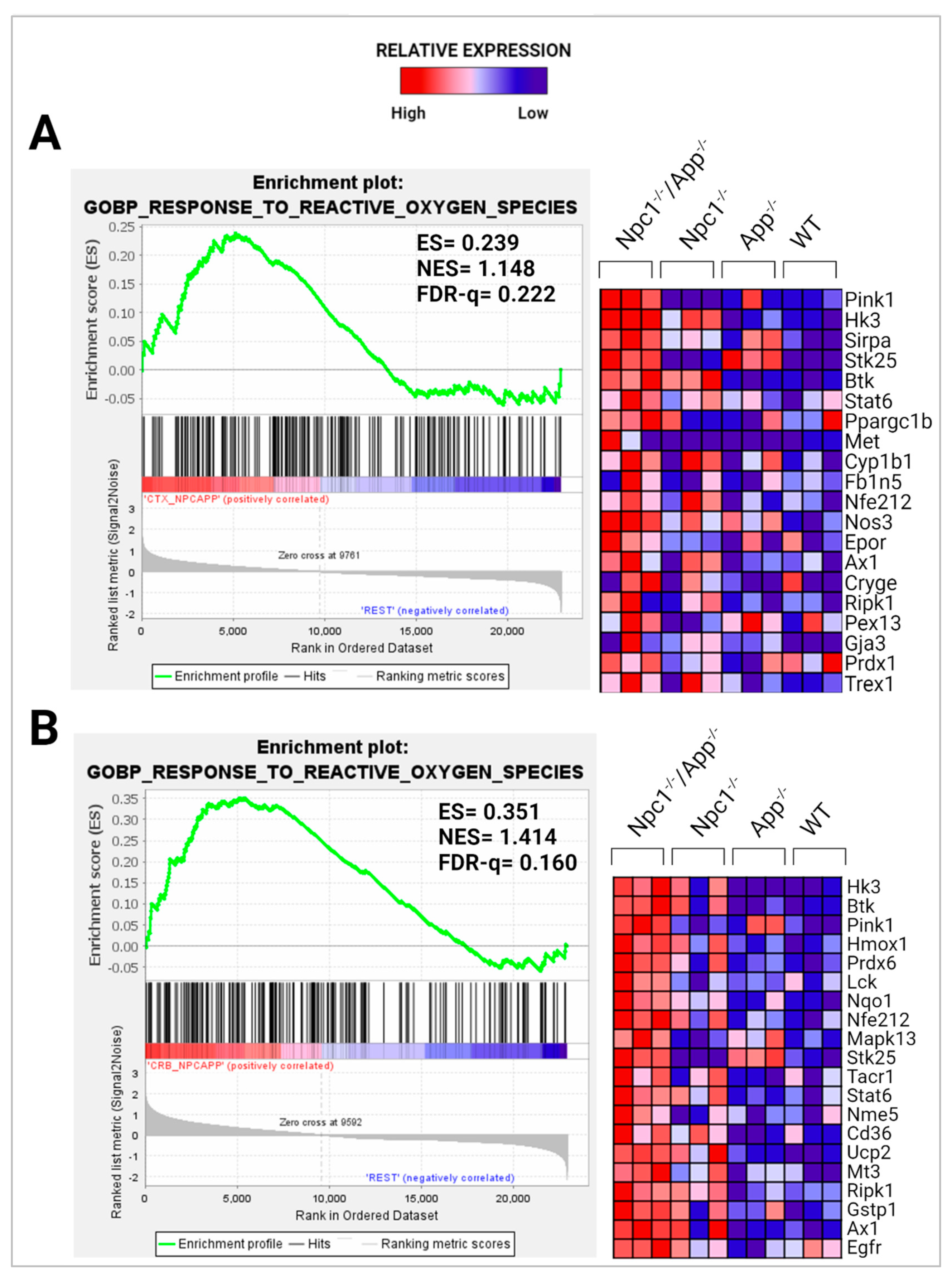 Genes 15 01066 g010