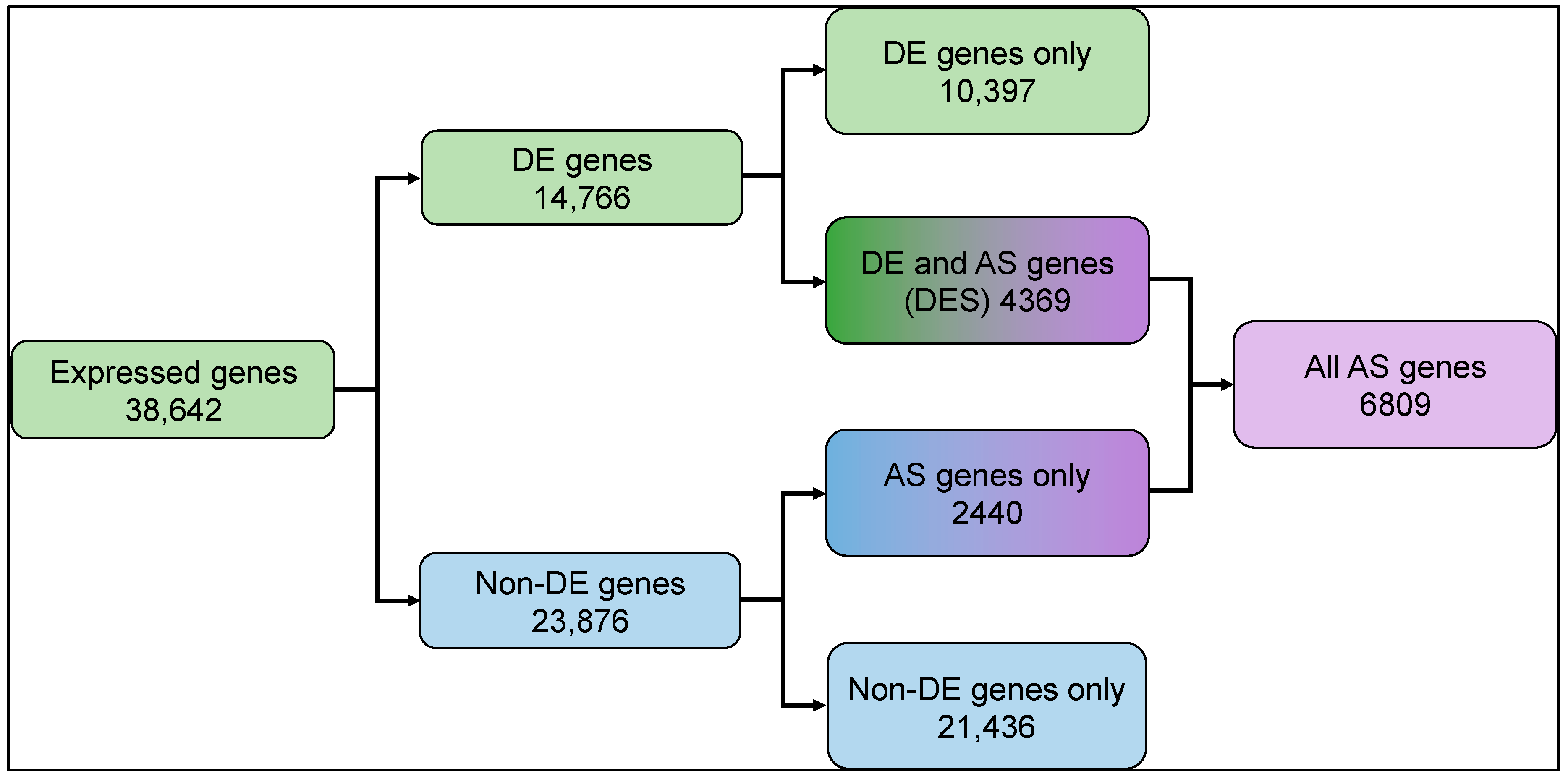 Genes 15 01072 g001