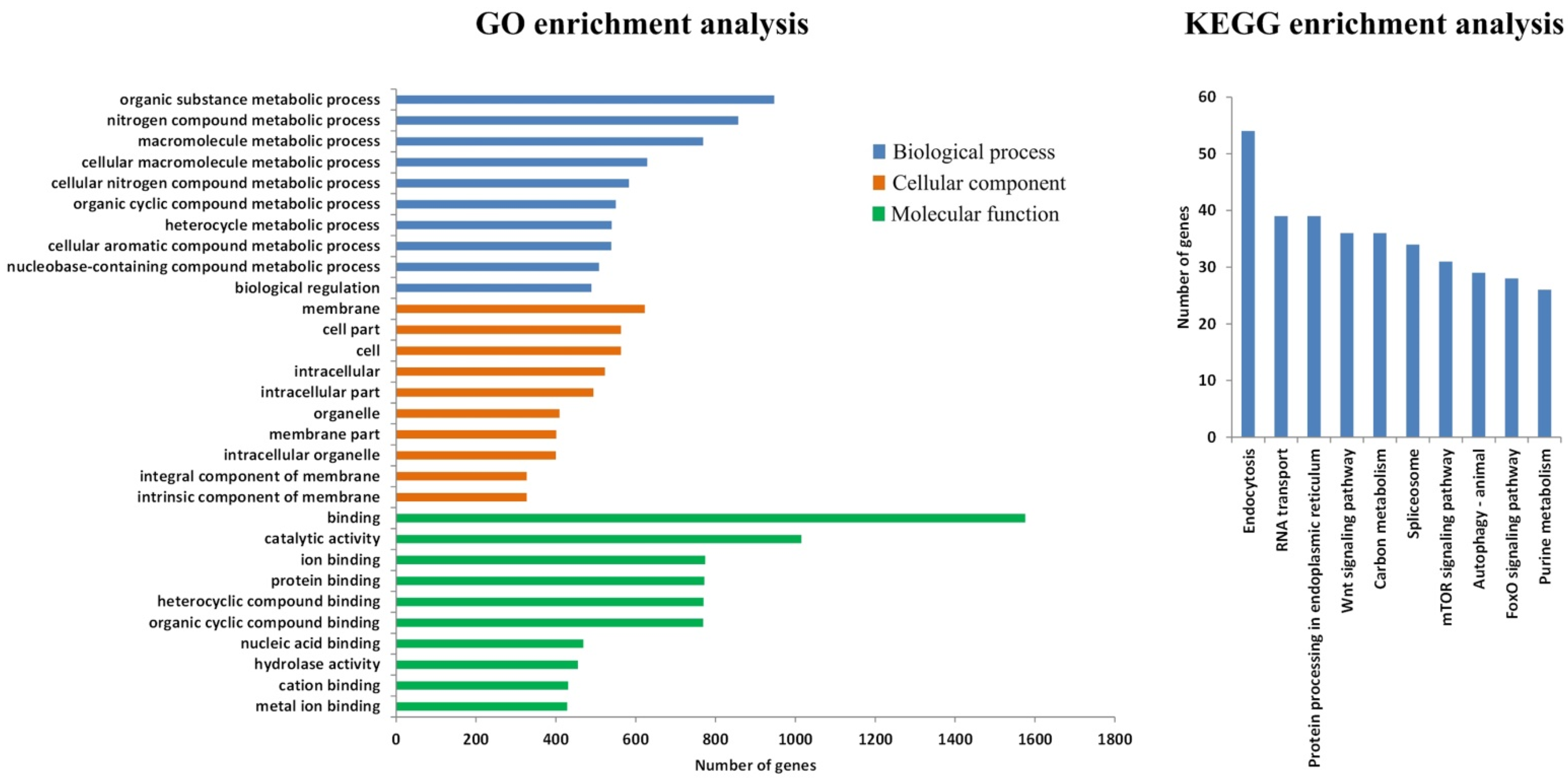 Genes 15 01083 g006 Genes 15 01083 g006