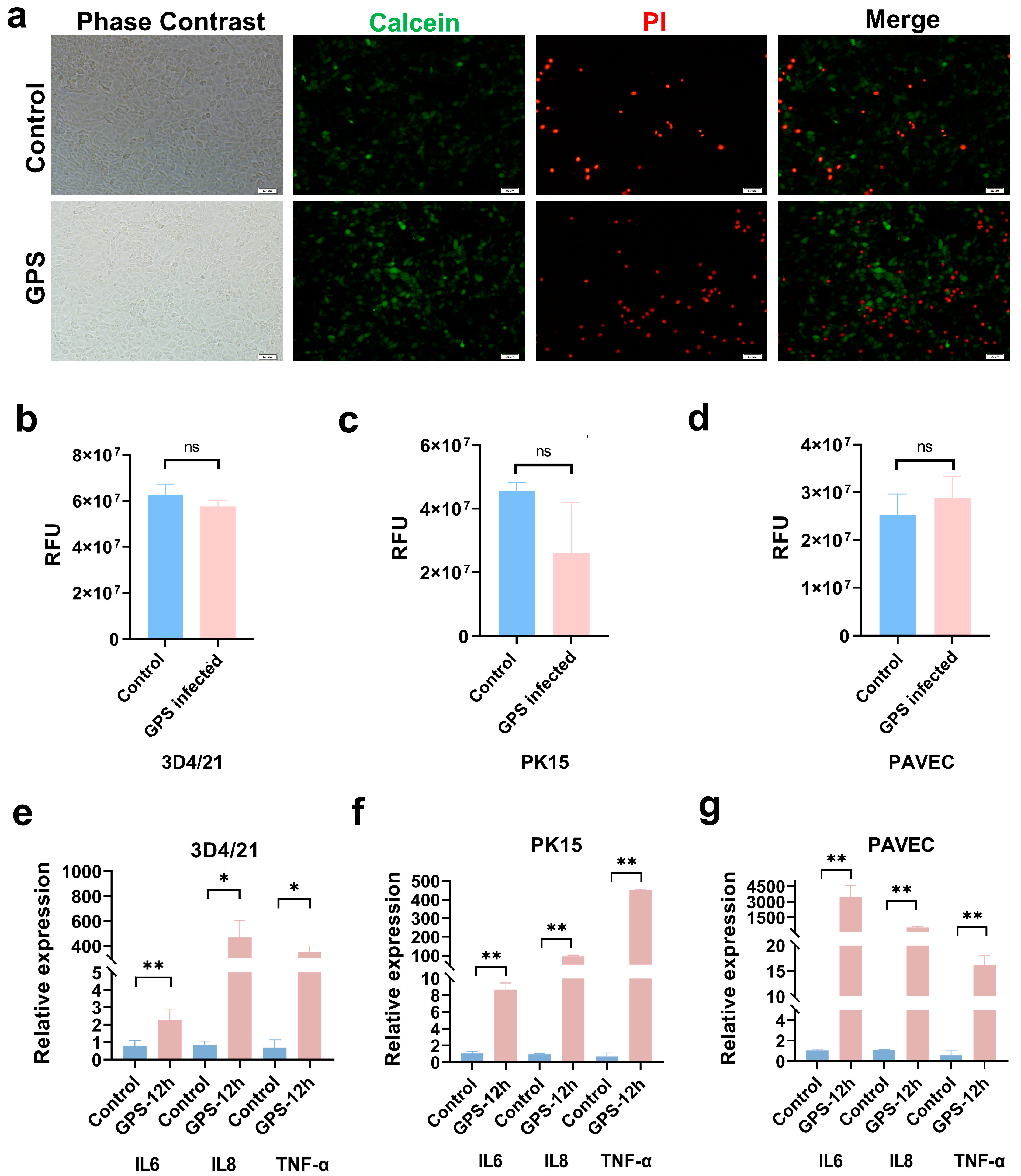 Genes 15 01094 g001 Genes 15 01094 g001