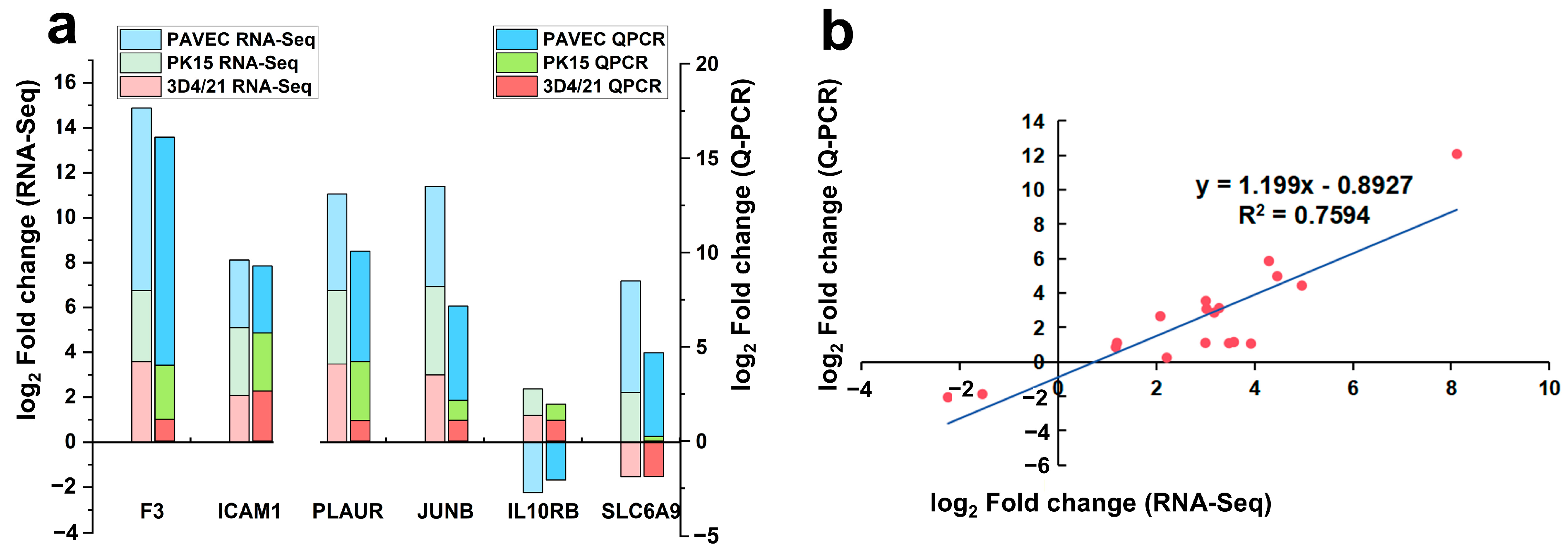 Genes 15 01094 g003 Genes 15 01094 g003