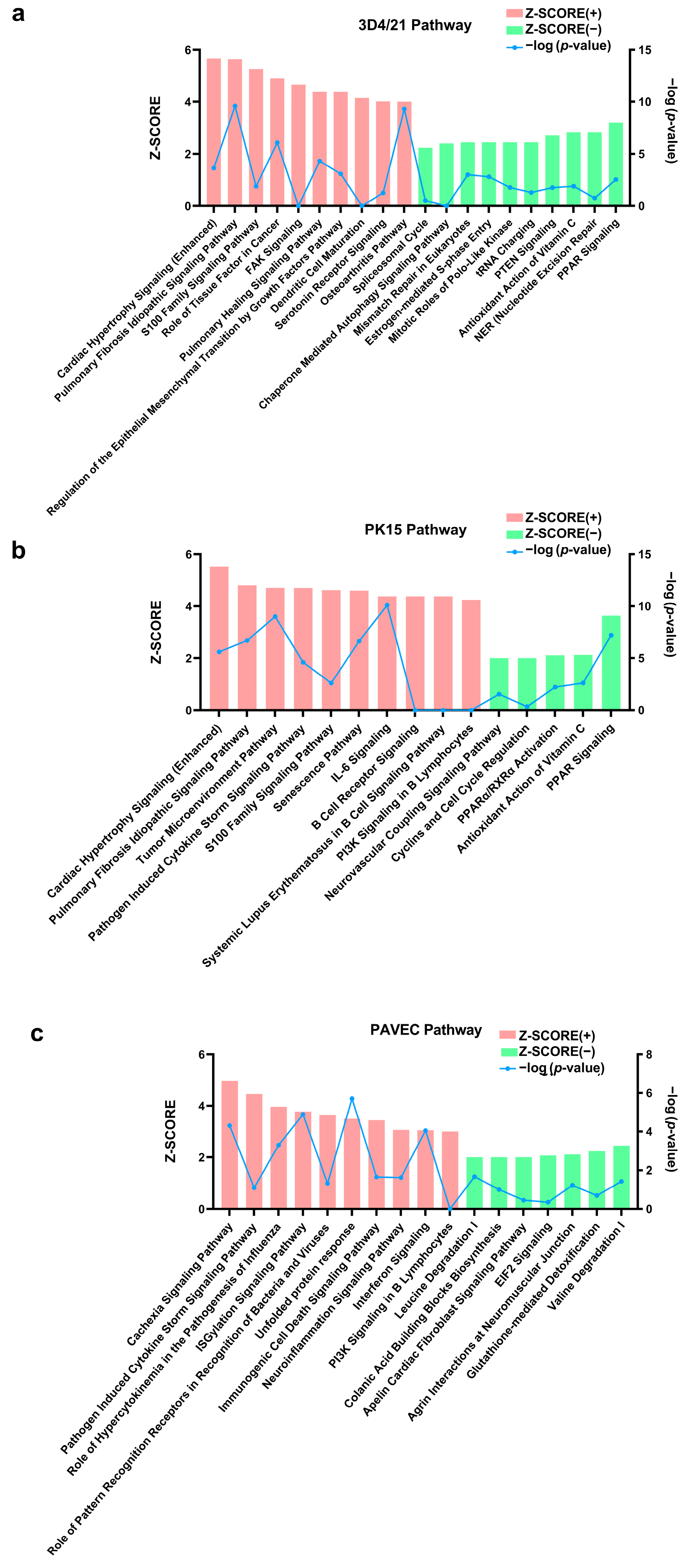 Genes 15 01094 g005 Genes 15 01094 g005