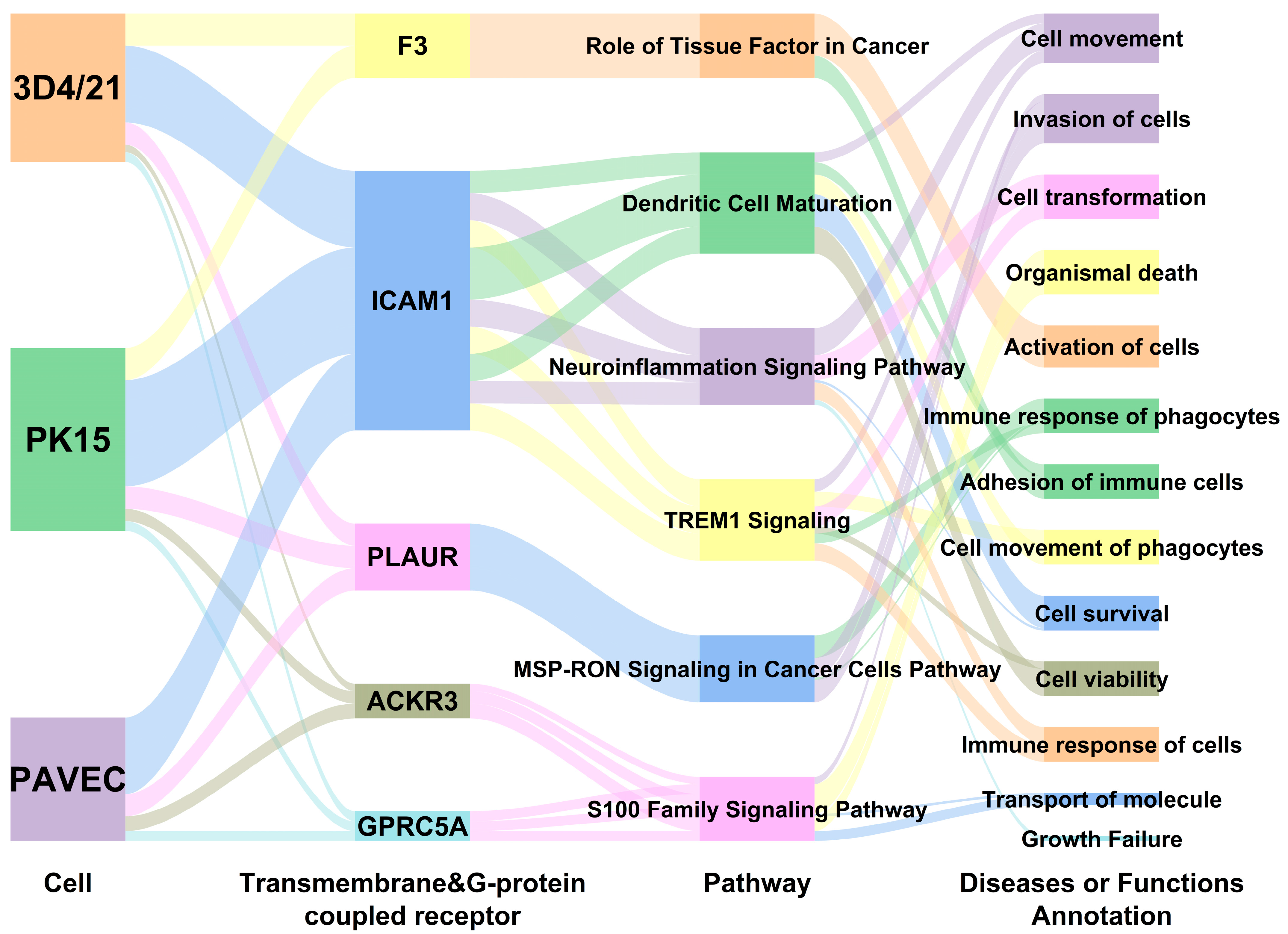 Genes 15 01094 g006 Genes 15 01094 g006