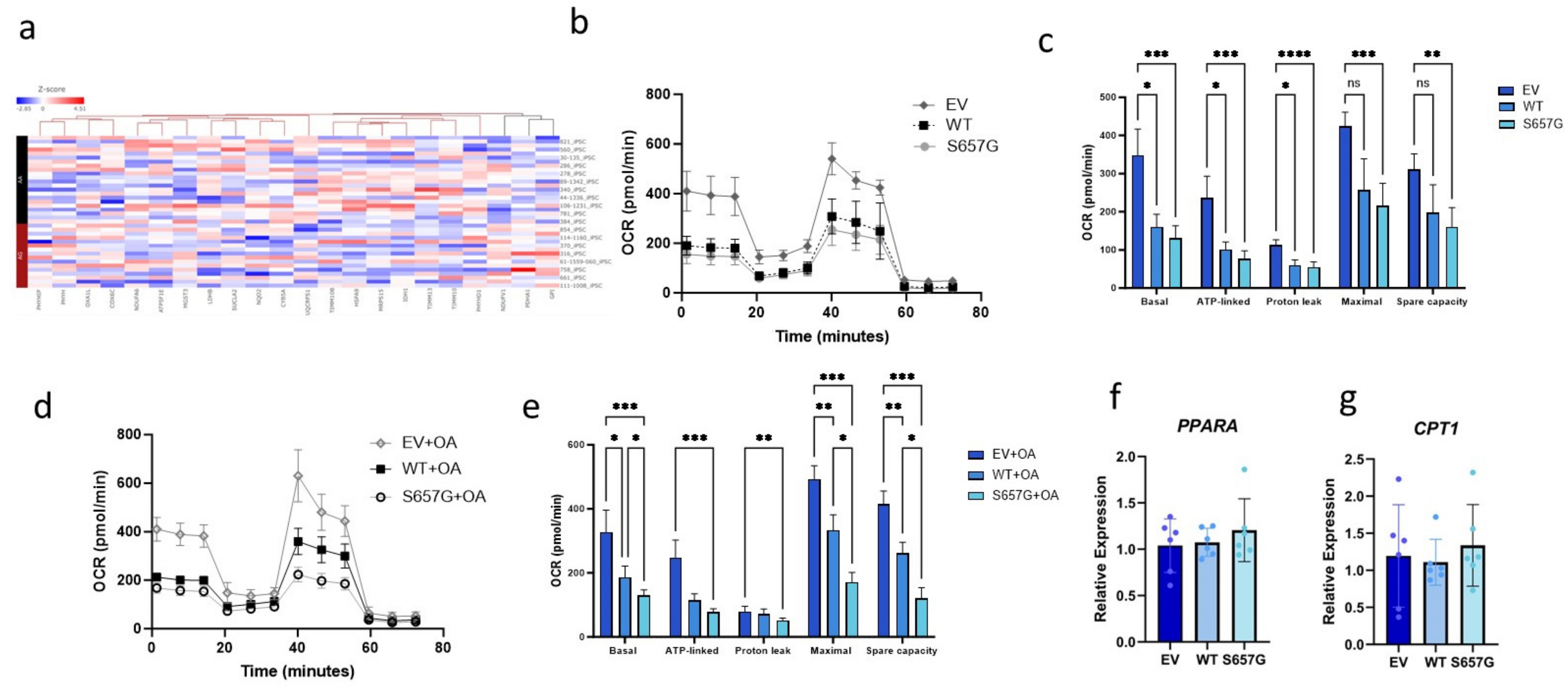Genes 15 01098 g004