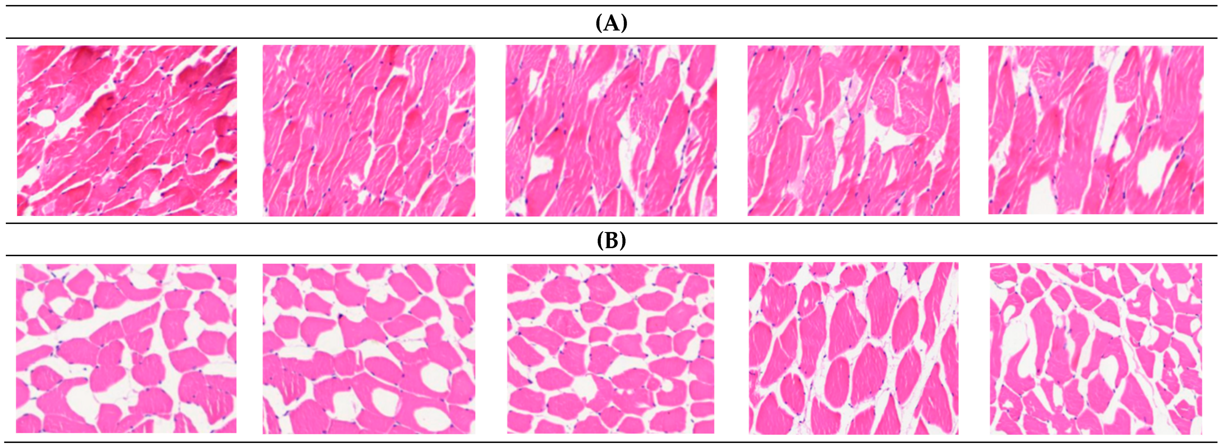 Genes 15 01121 g001 Genes 15 01121 g001