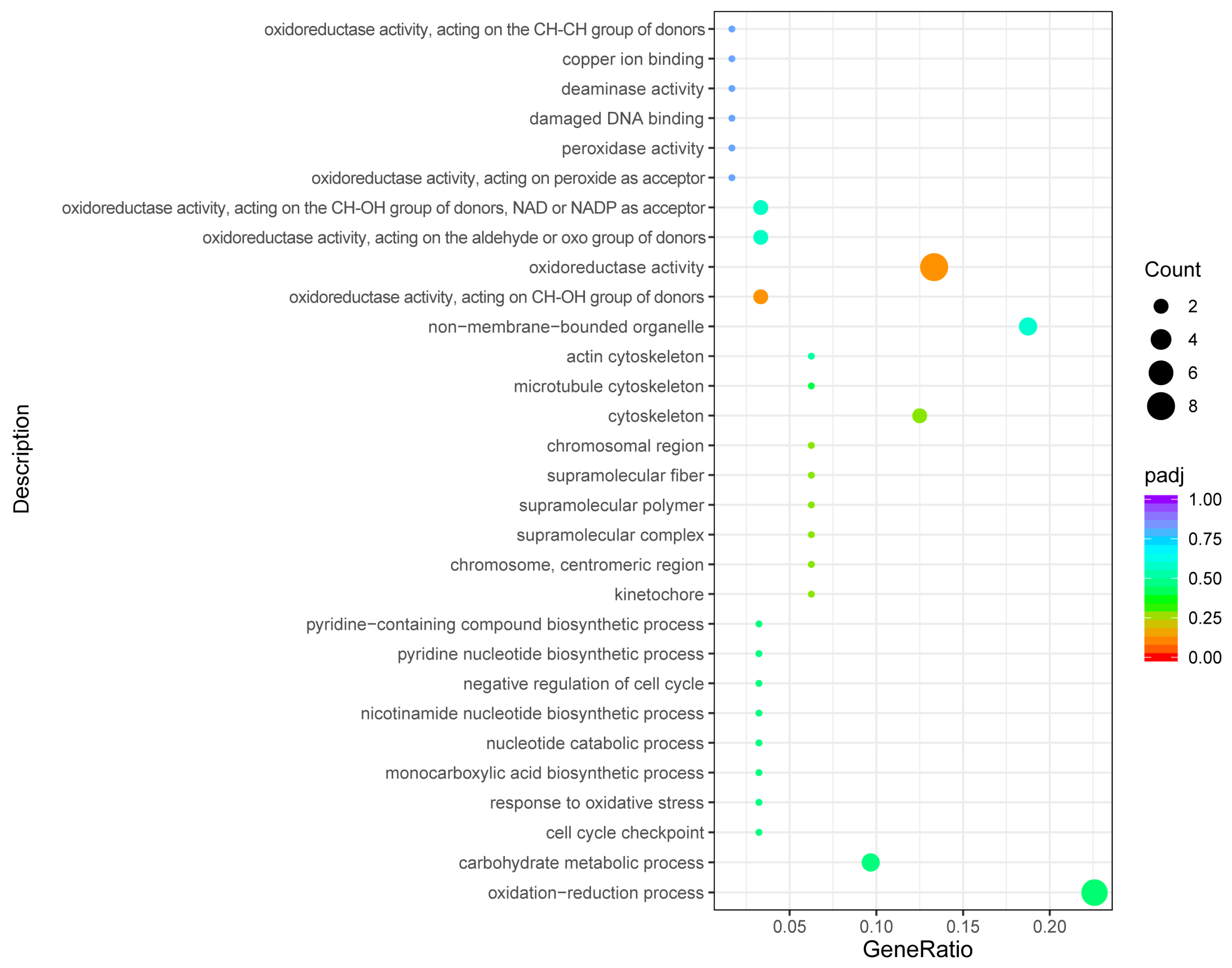 Genes 15 01121 g004 Genes 15 01121 g004