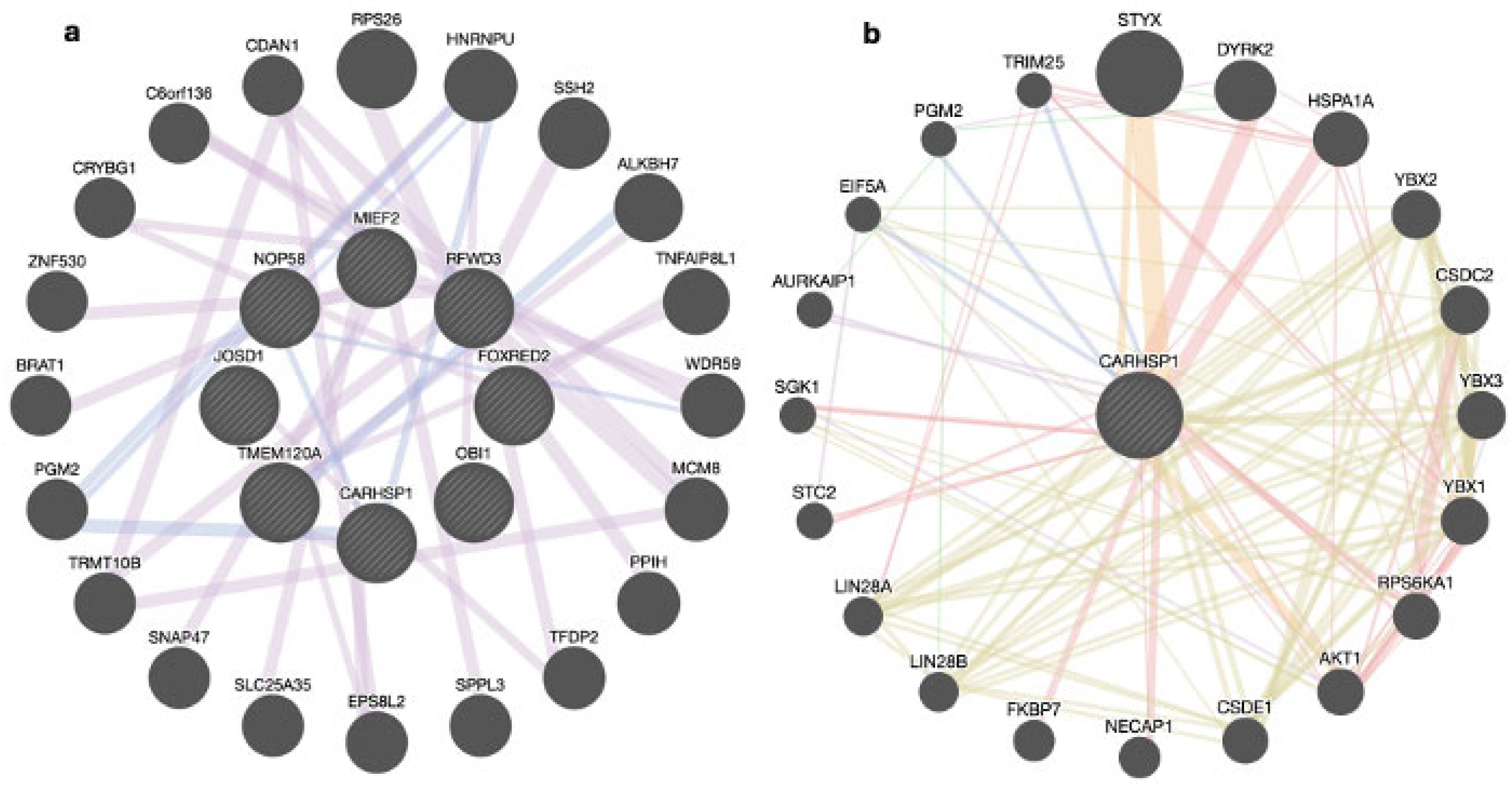 Genes 15 01131 g003