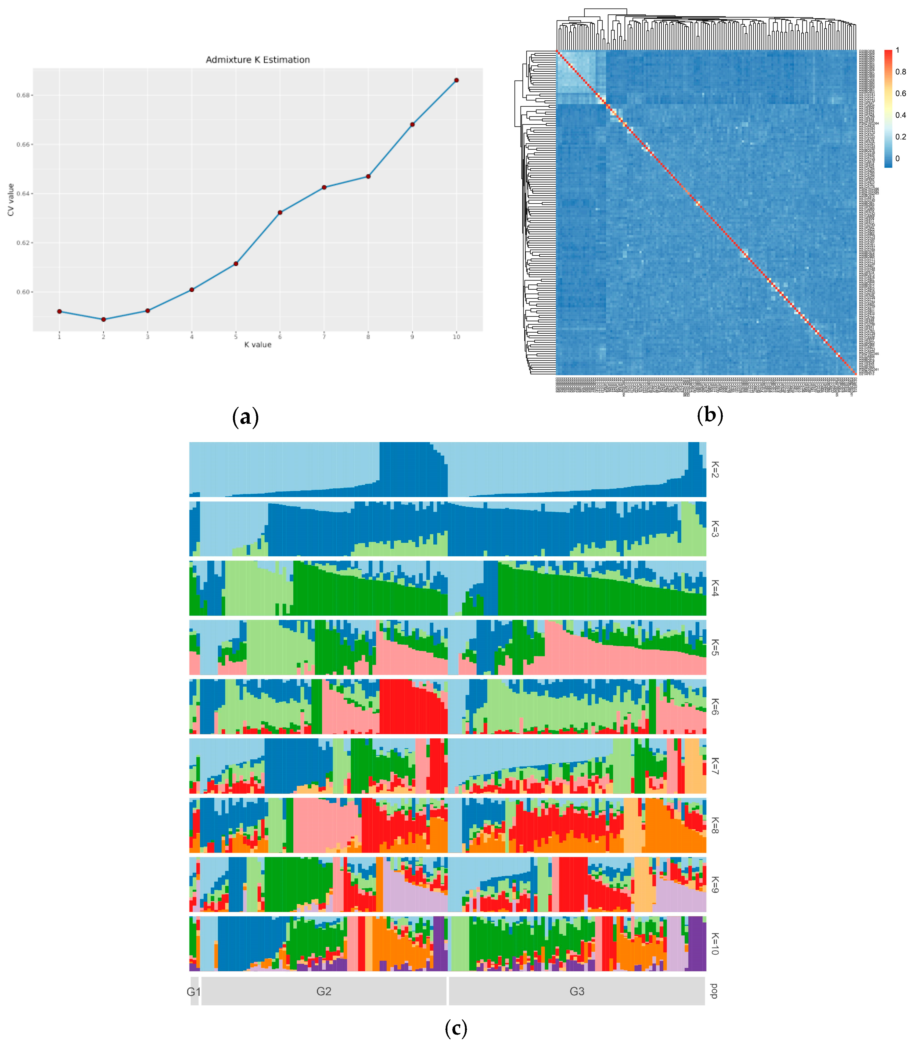 Genes 15 01142 g003