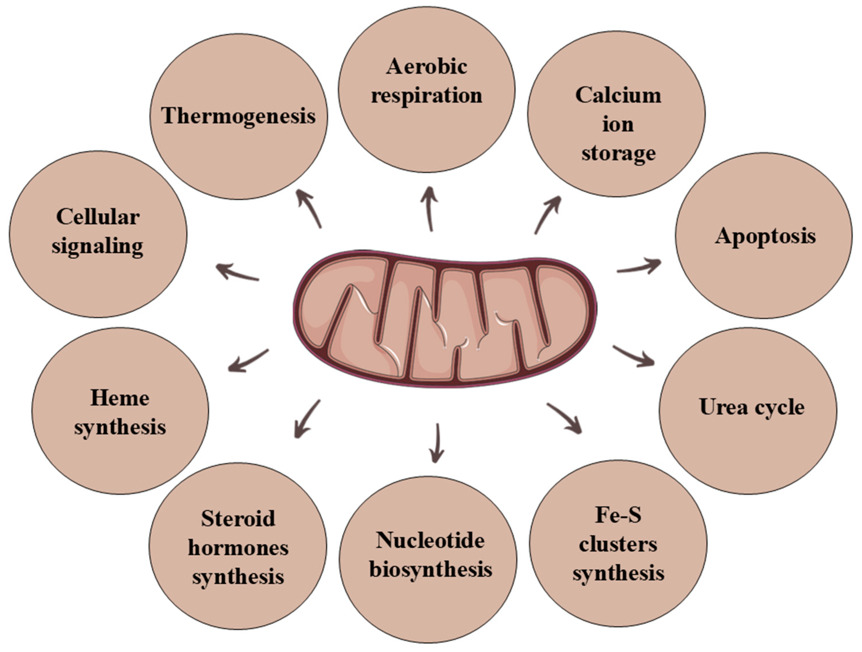 Genes 15 01153 g001 Genes 15 01153 g001