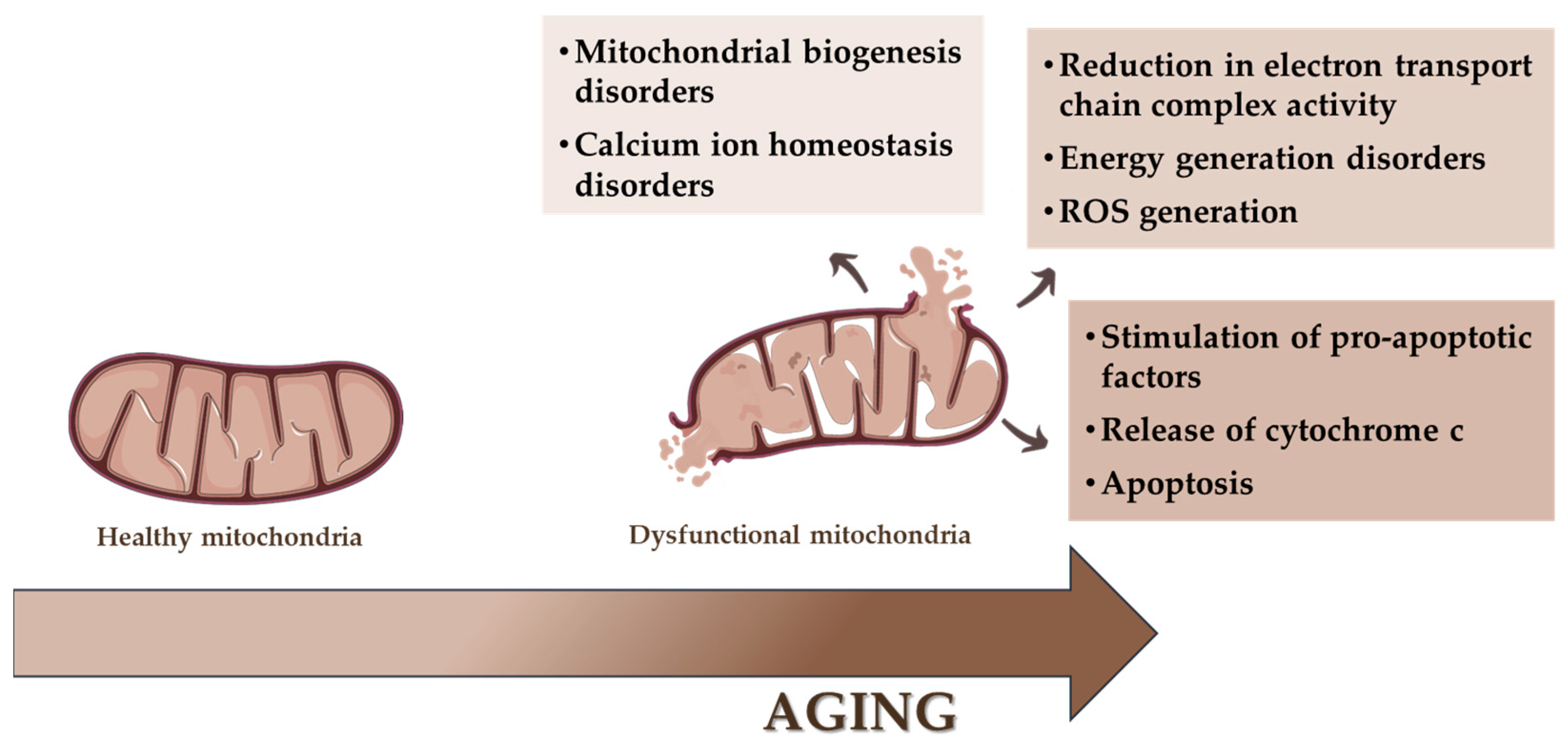 Genes 15 01153 g004 Genes 15 01153 g004