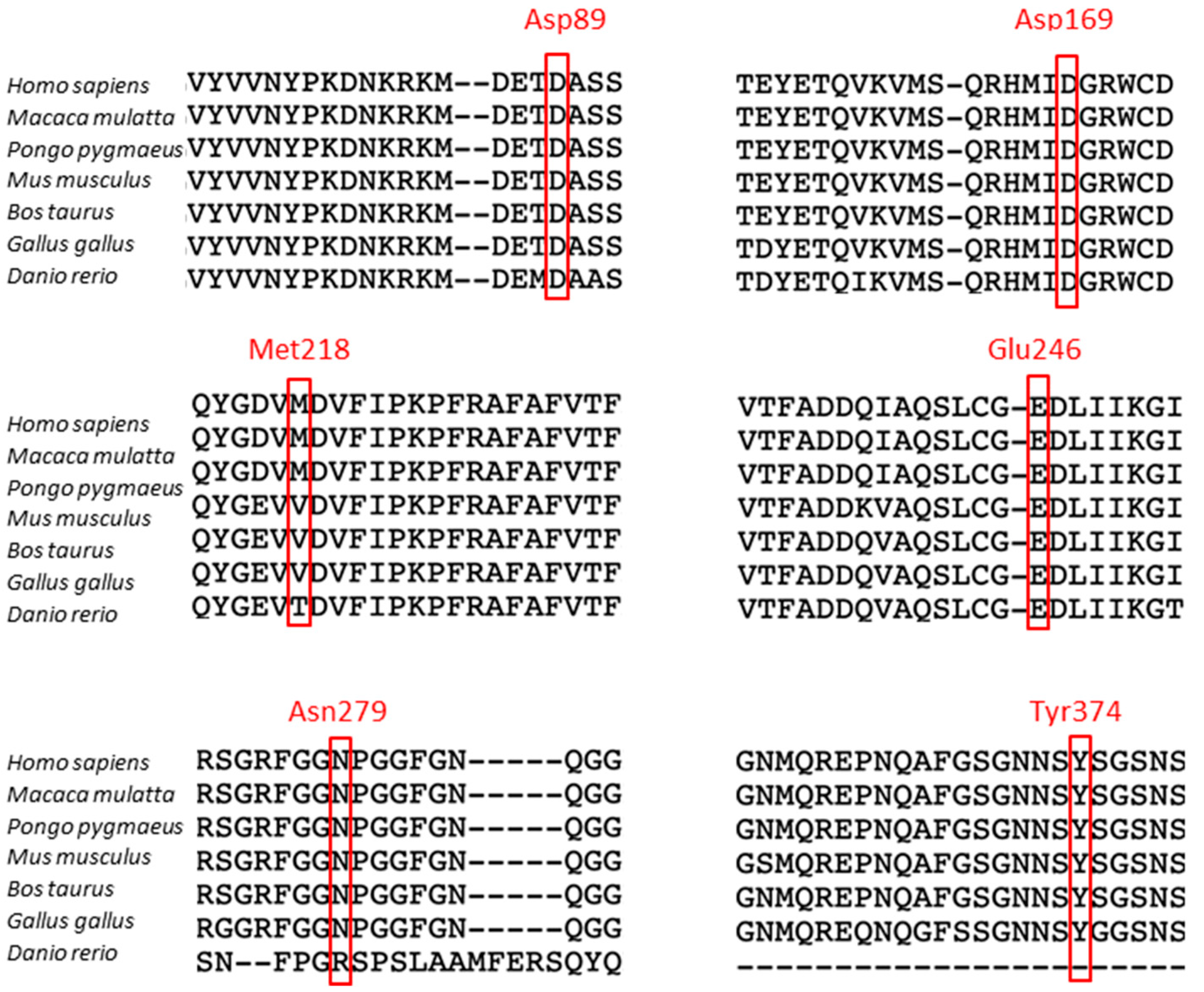 Genes 15 01157 g001