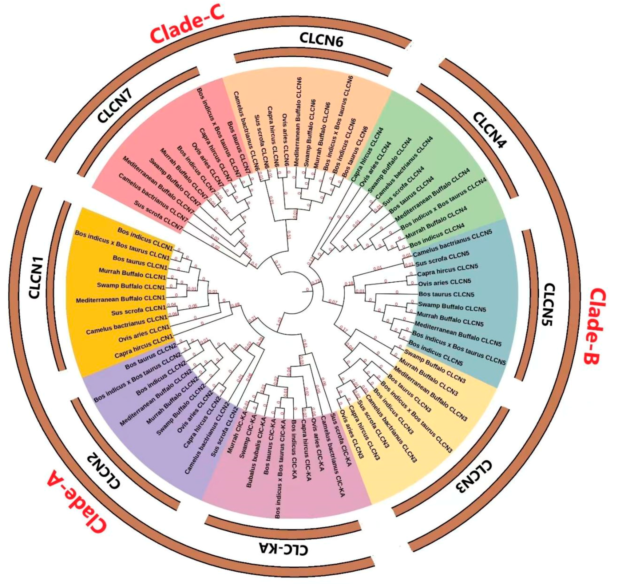 Genes 15 01163 g001 Genes 15 01163 g001