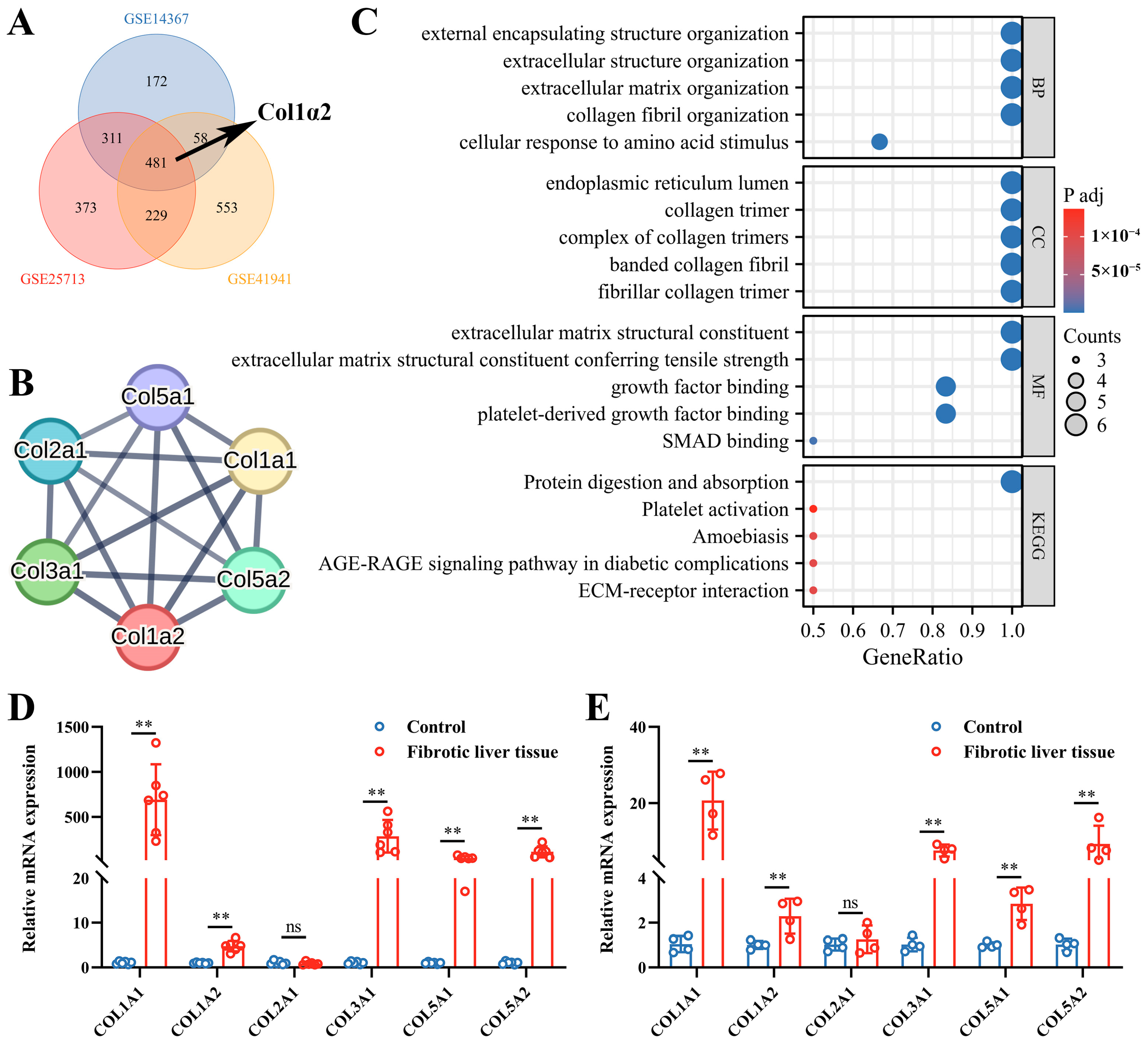 Genes 15 01165 g001