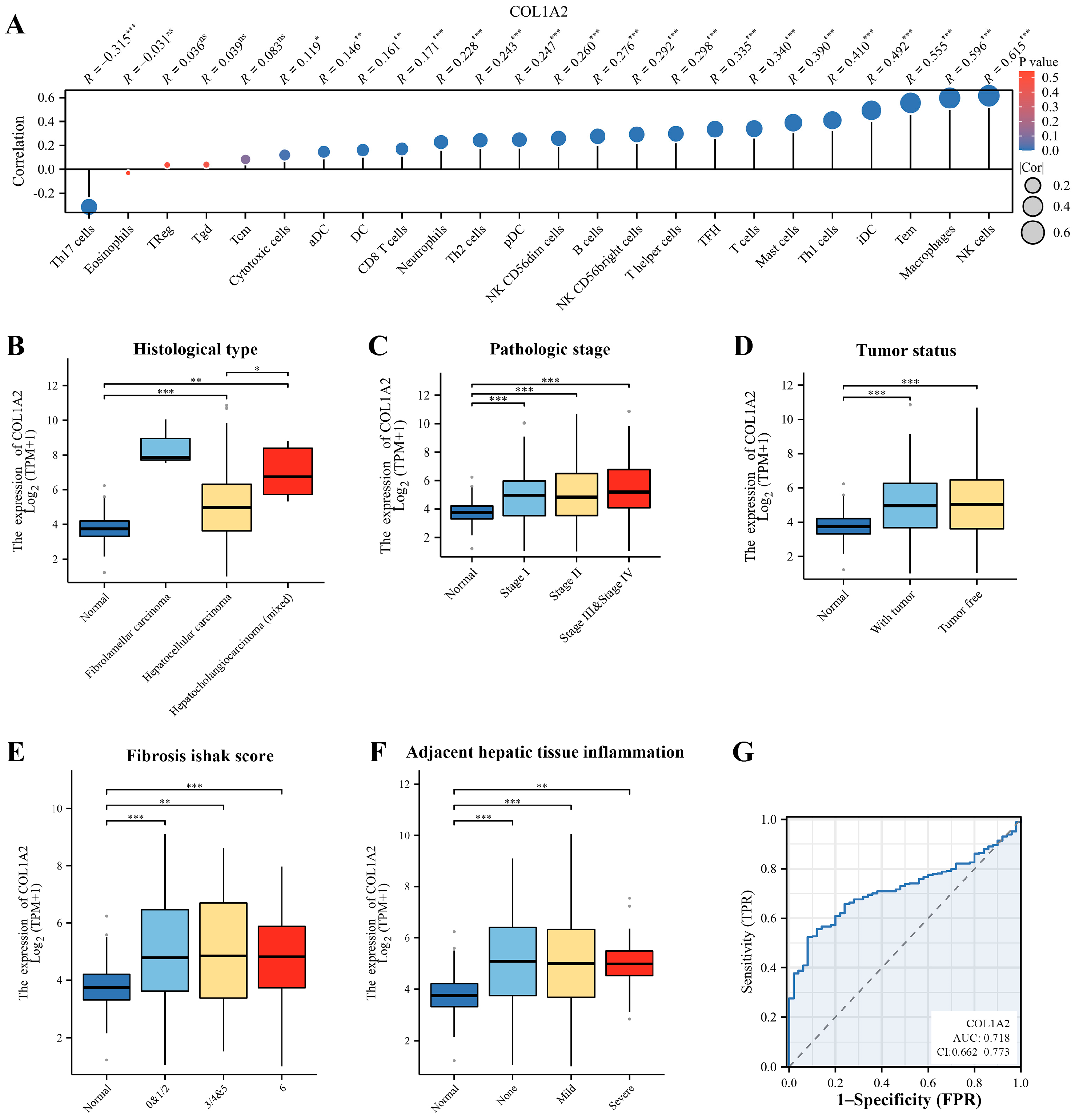 Genes 15 01165 g003