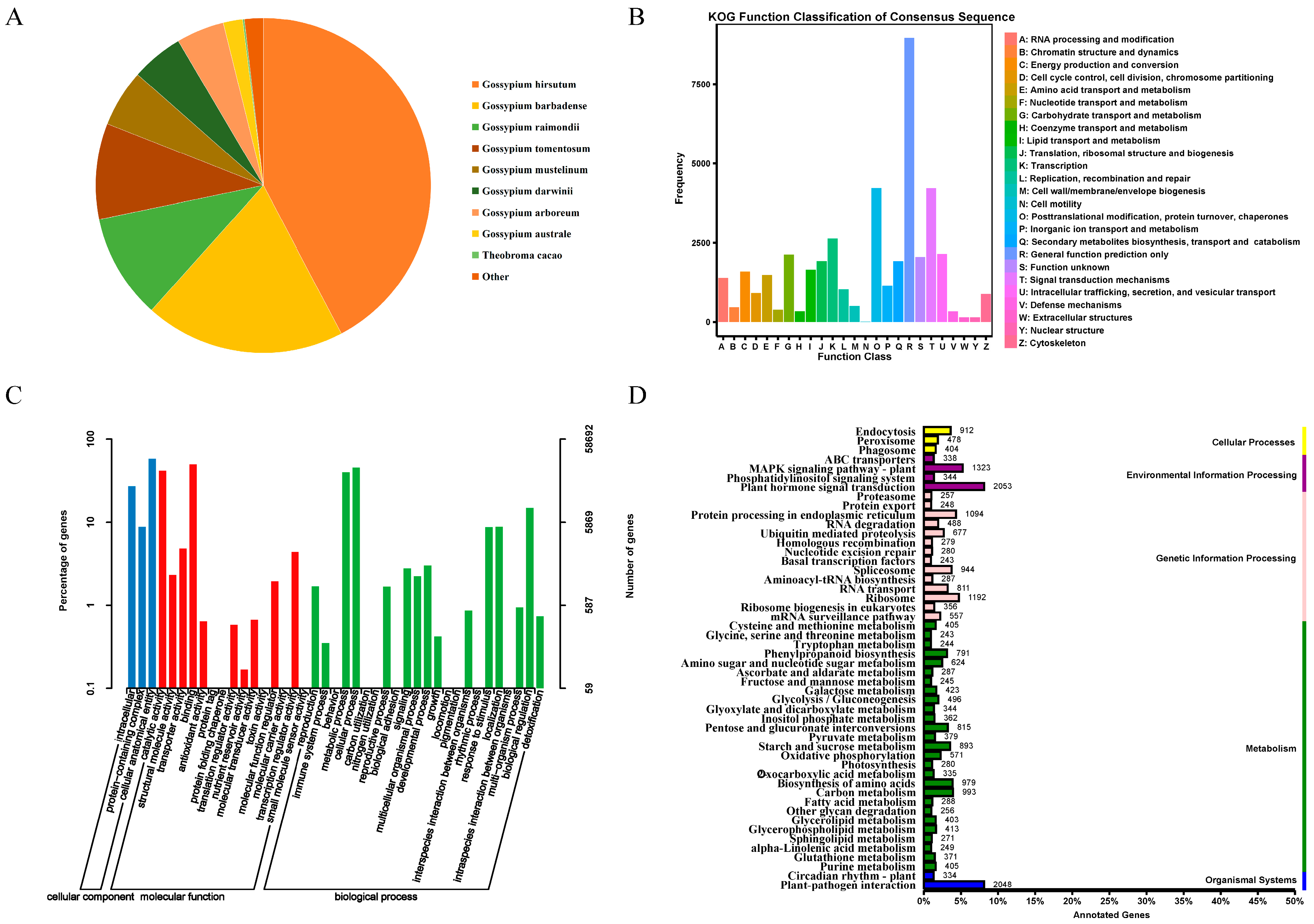 Genes 15 01176 g001