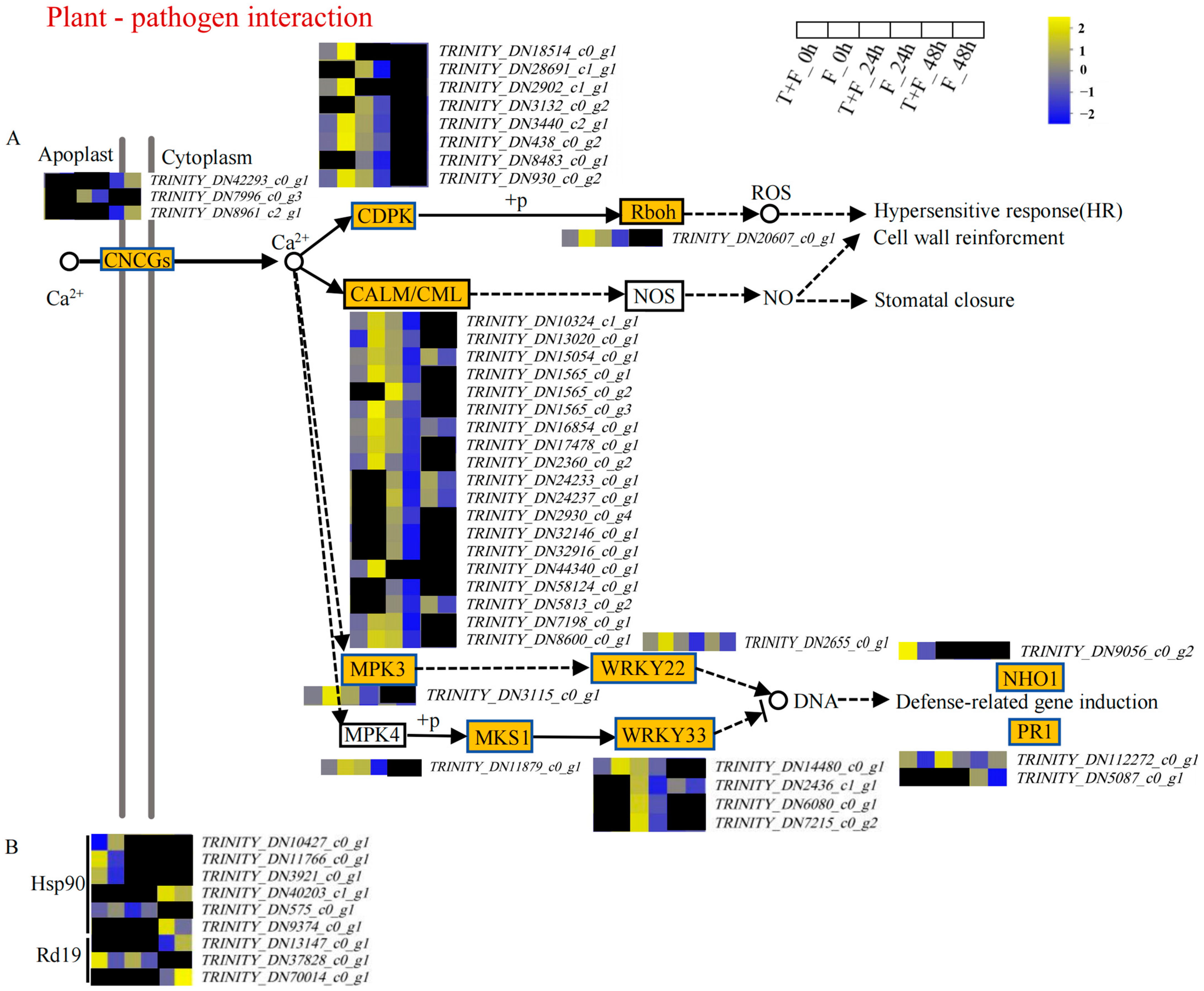 Genes 15 01180 g004