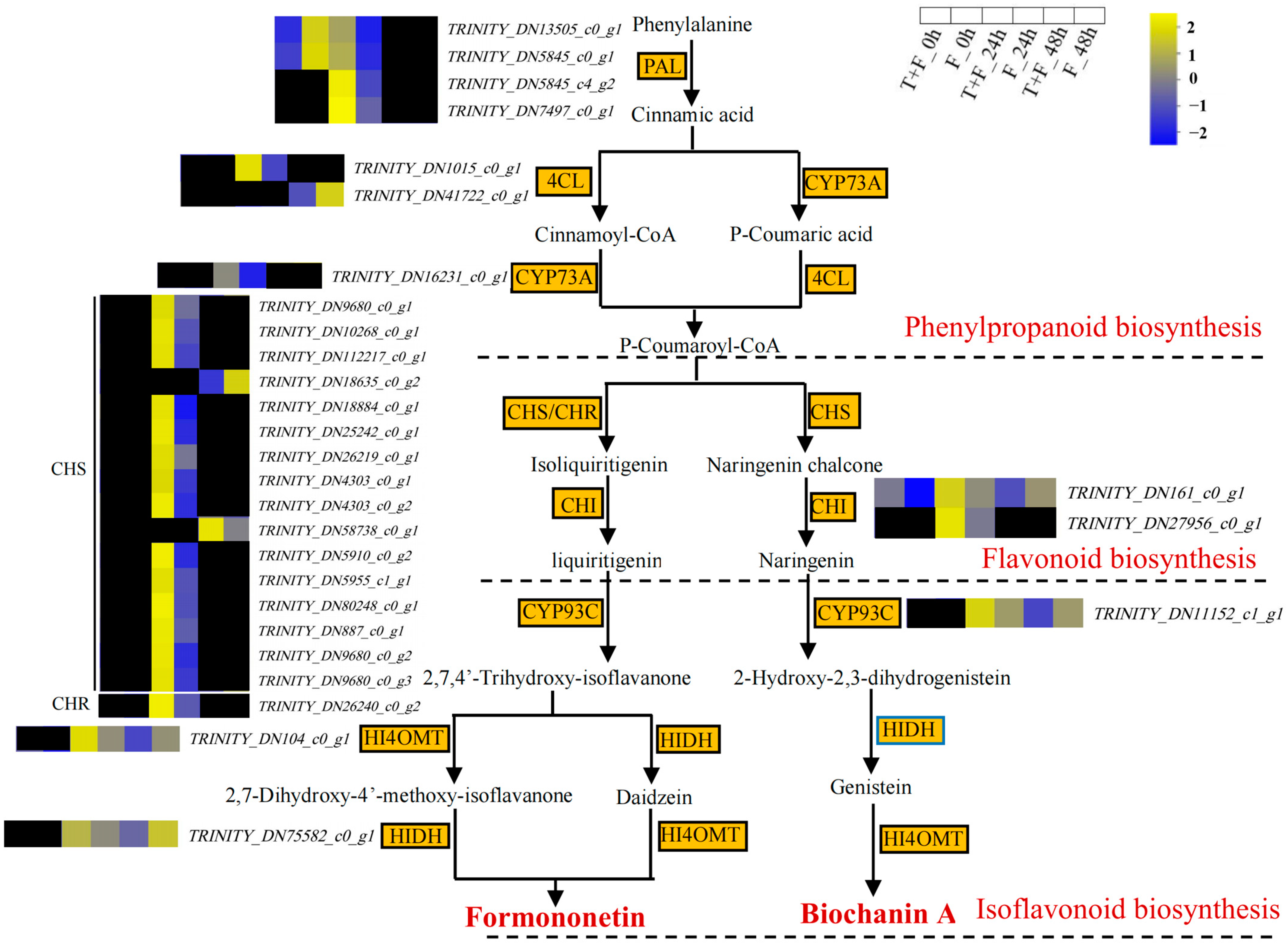 Genes 15 01180 g006