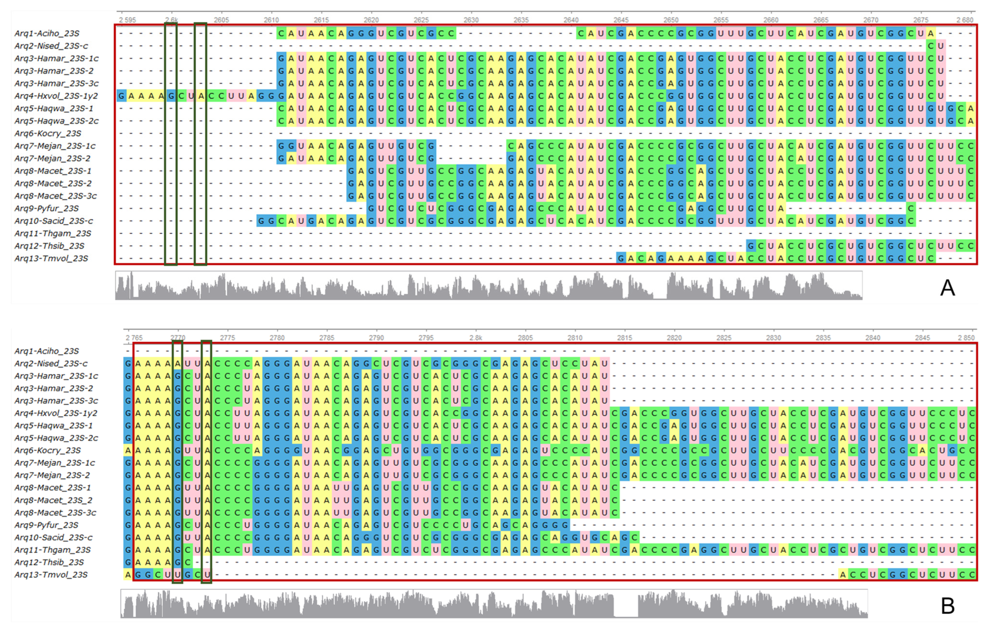 Genes 15 01195 g003a Genes 15 01195 g003a