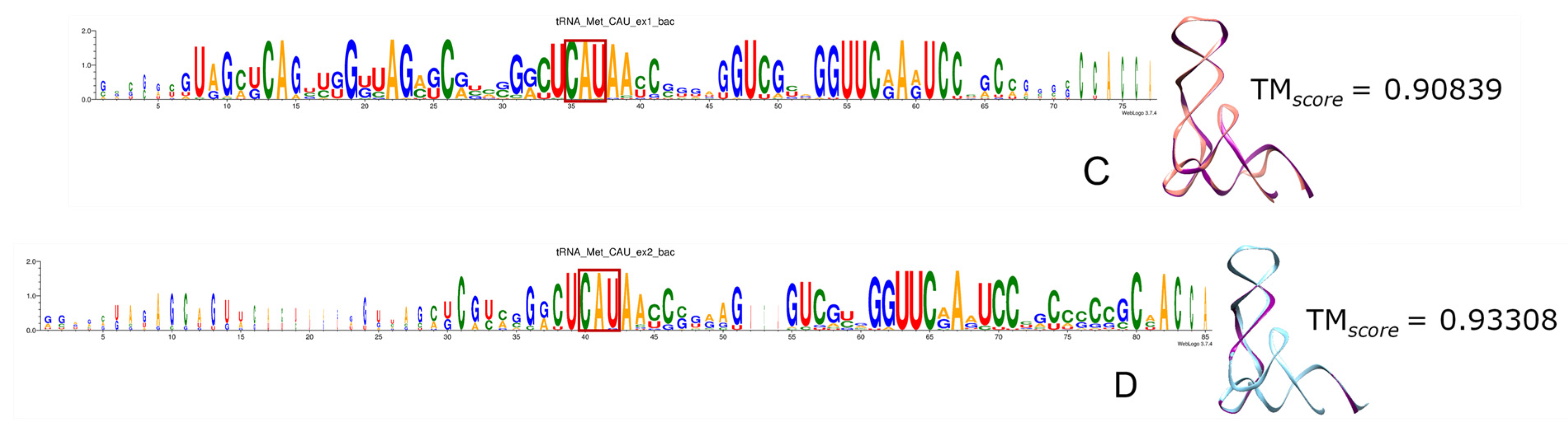 Genes 15 01195 g010 Genes 15 01195 g010