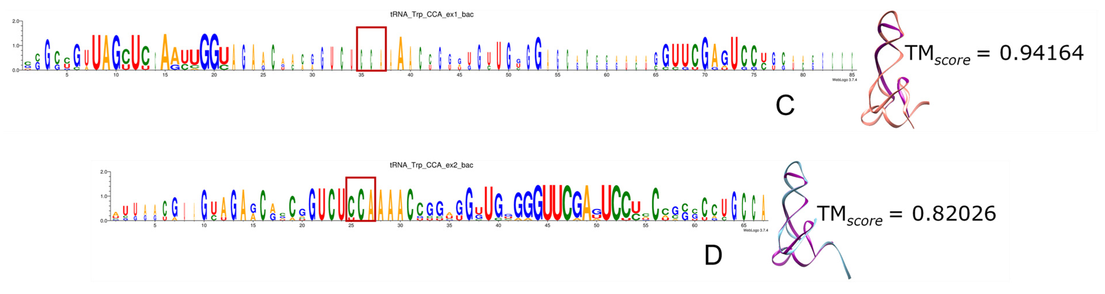 Genes 15 01195 g012 Genes 15 01195 g012
