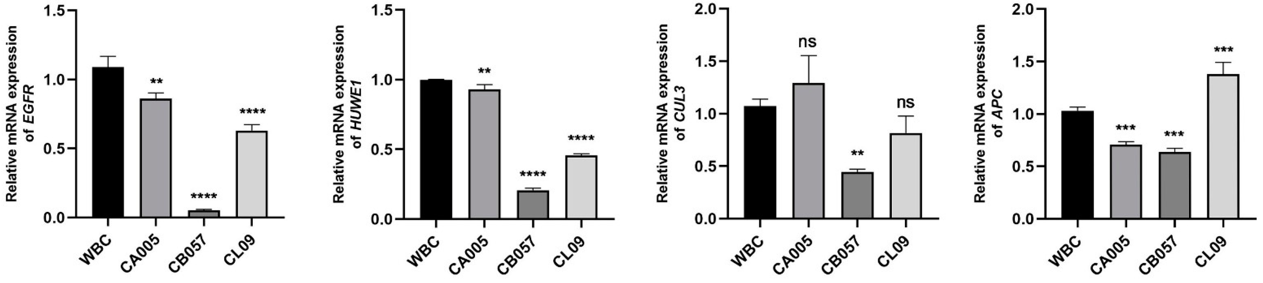 Genes 15 01208 g001