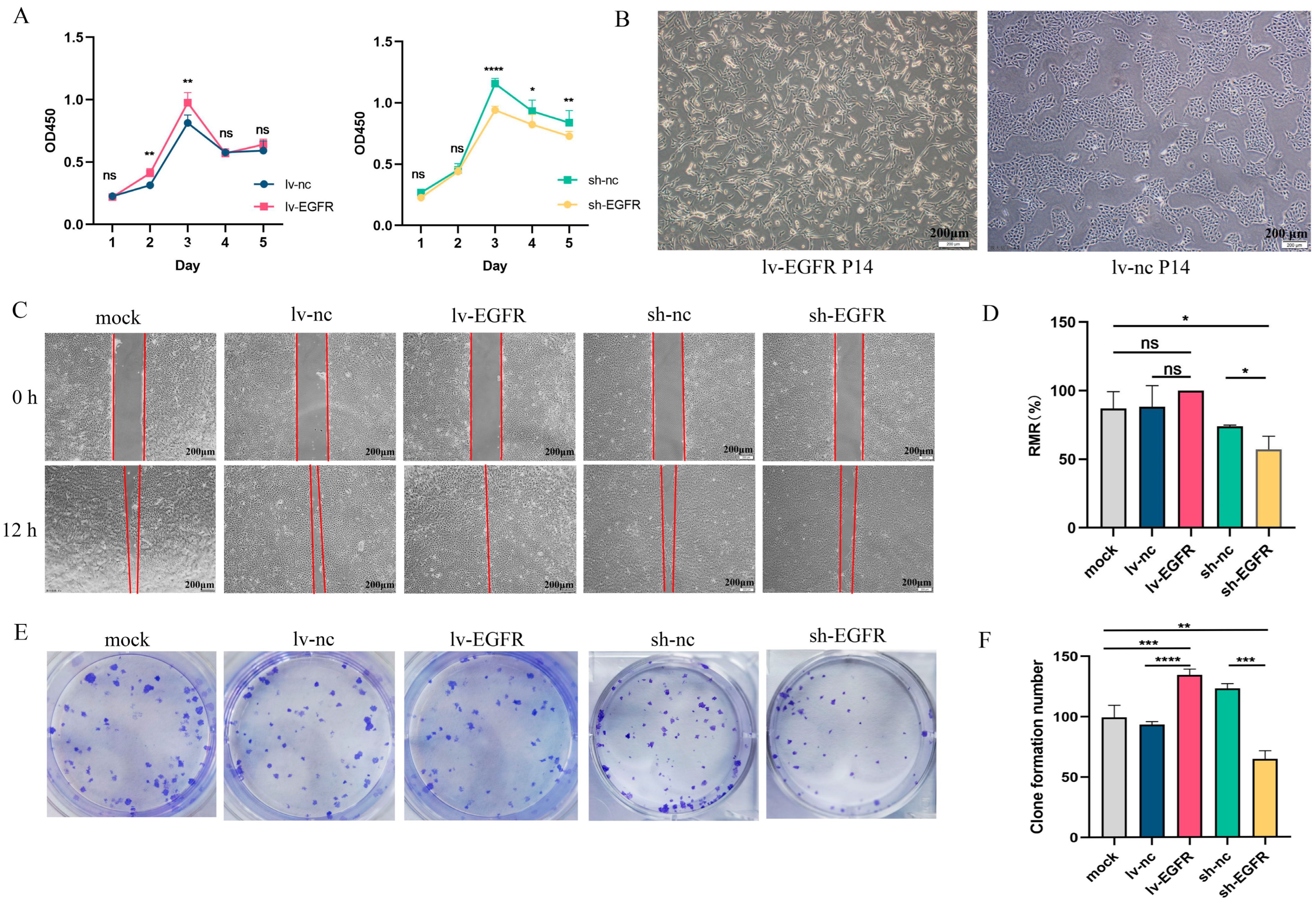 Genes 15 01208 g003