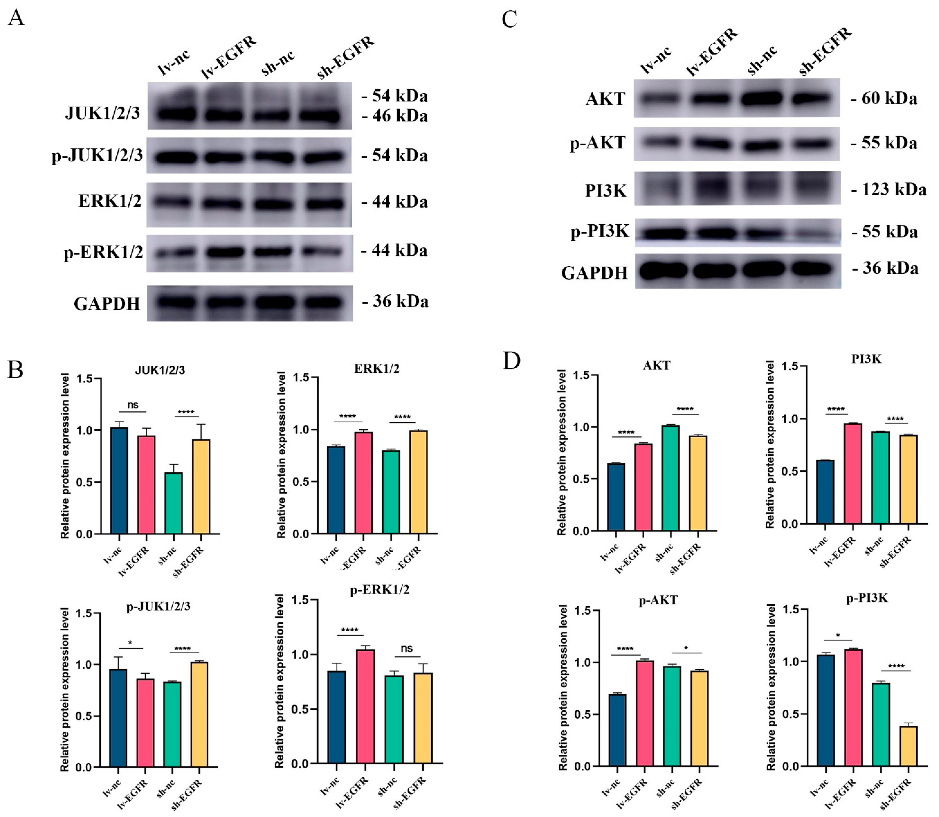 Genes 15 01208 g008