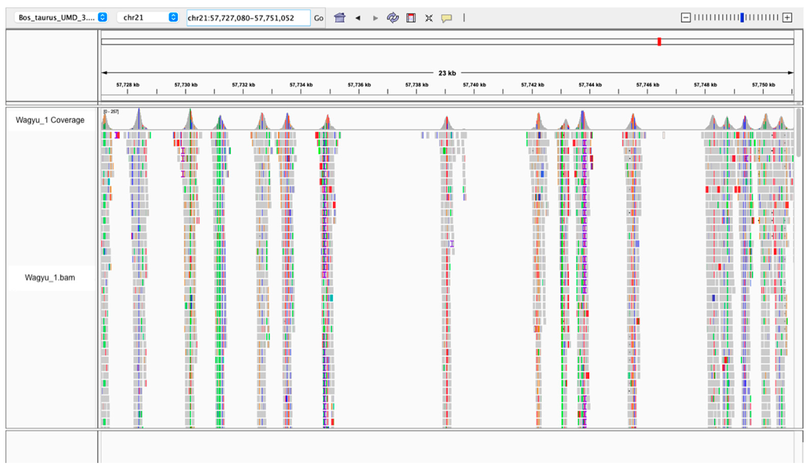 Genes 15 01218 g001 Genes 15 01218 g001