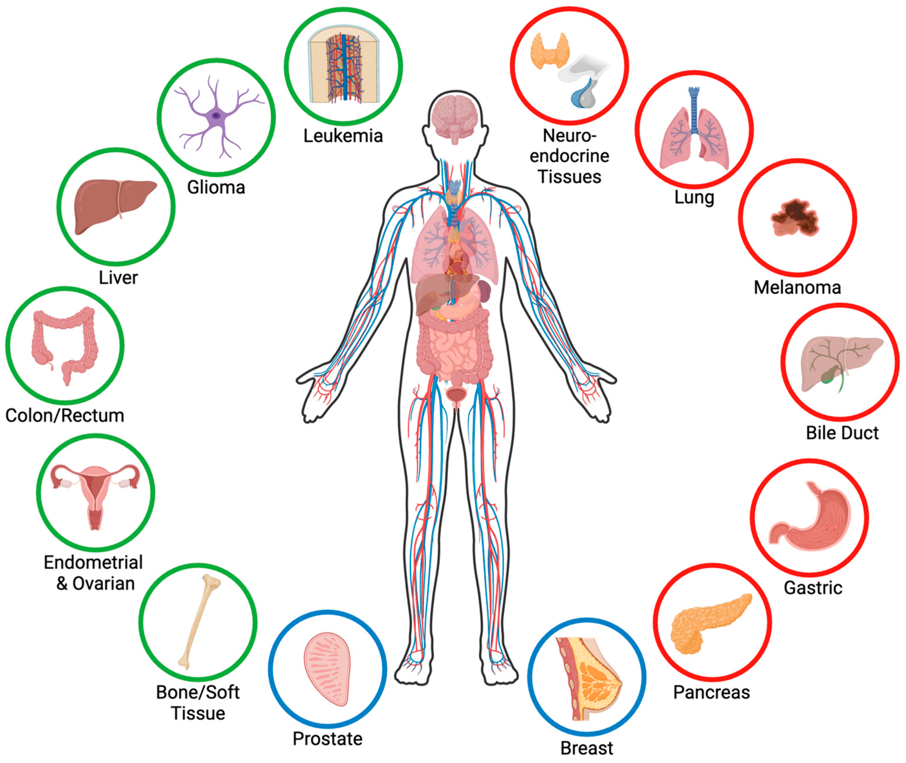 Genes 15 01231 g001 Genes 15 01231 g001