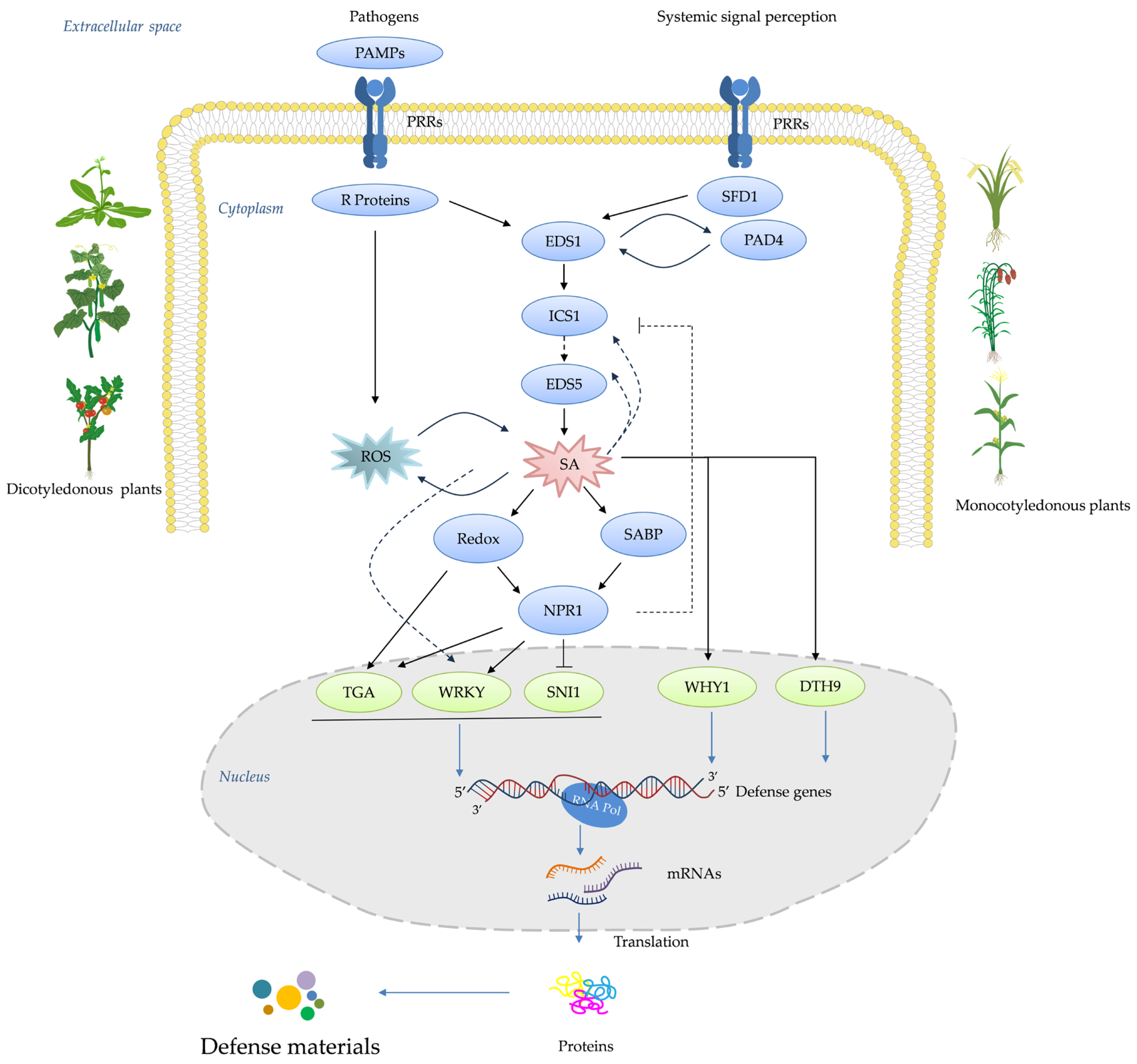 Genes 15 01237 g002 Genes 15 01237 g002