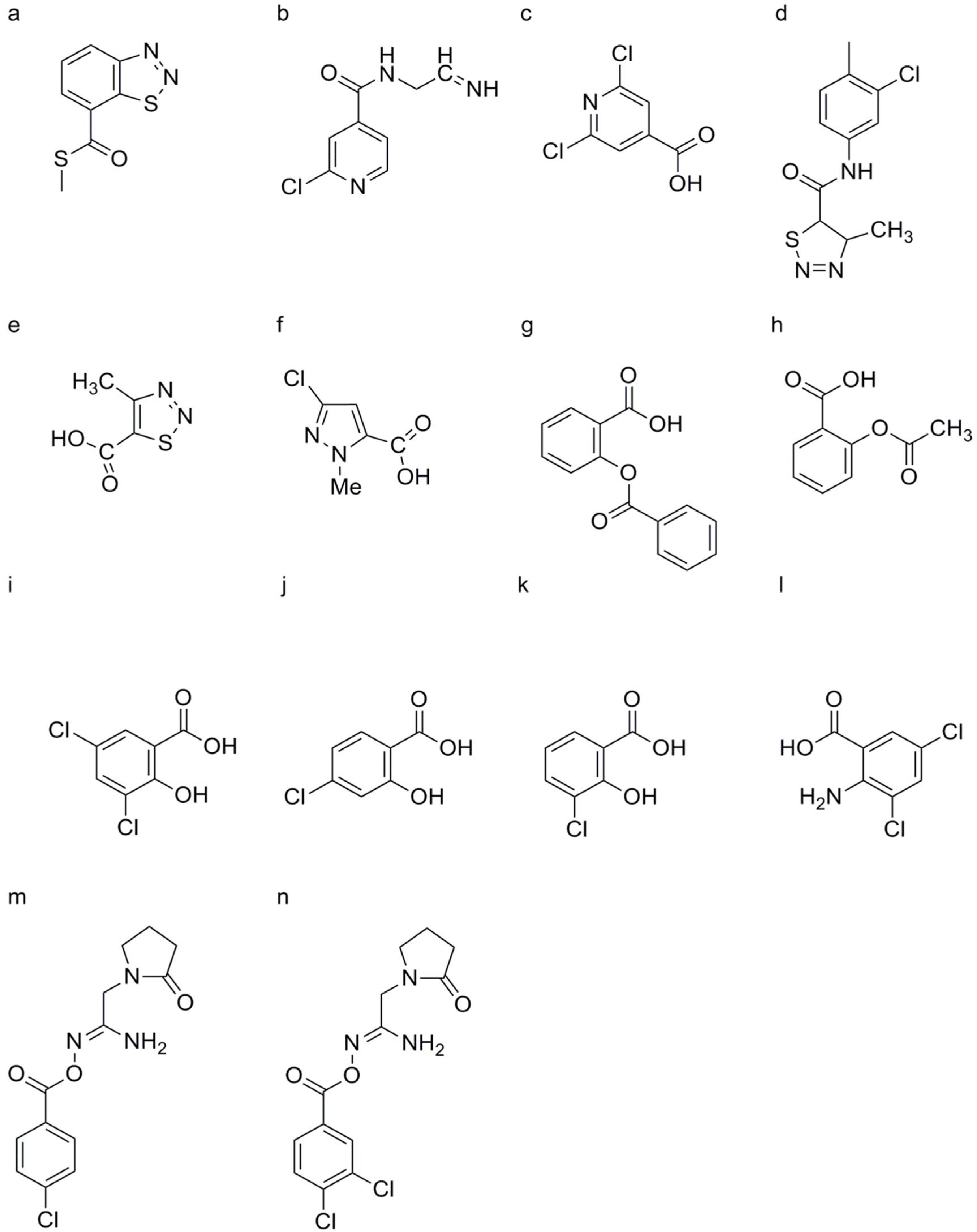 Genes 15 01237 g005 Genes 15 01237 g005