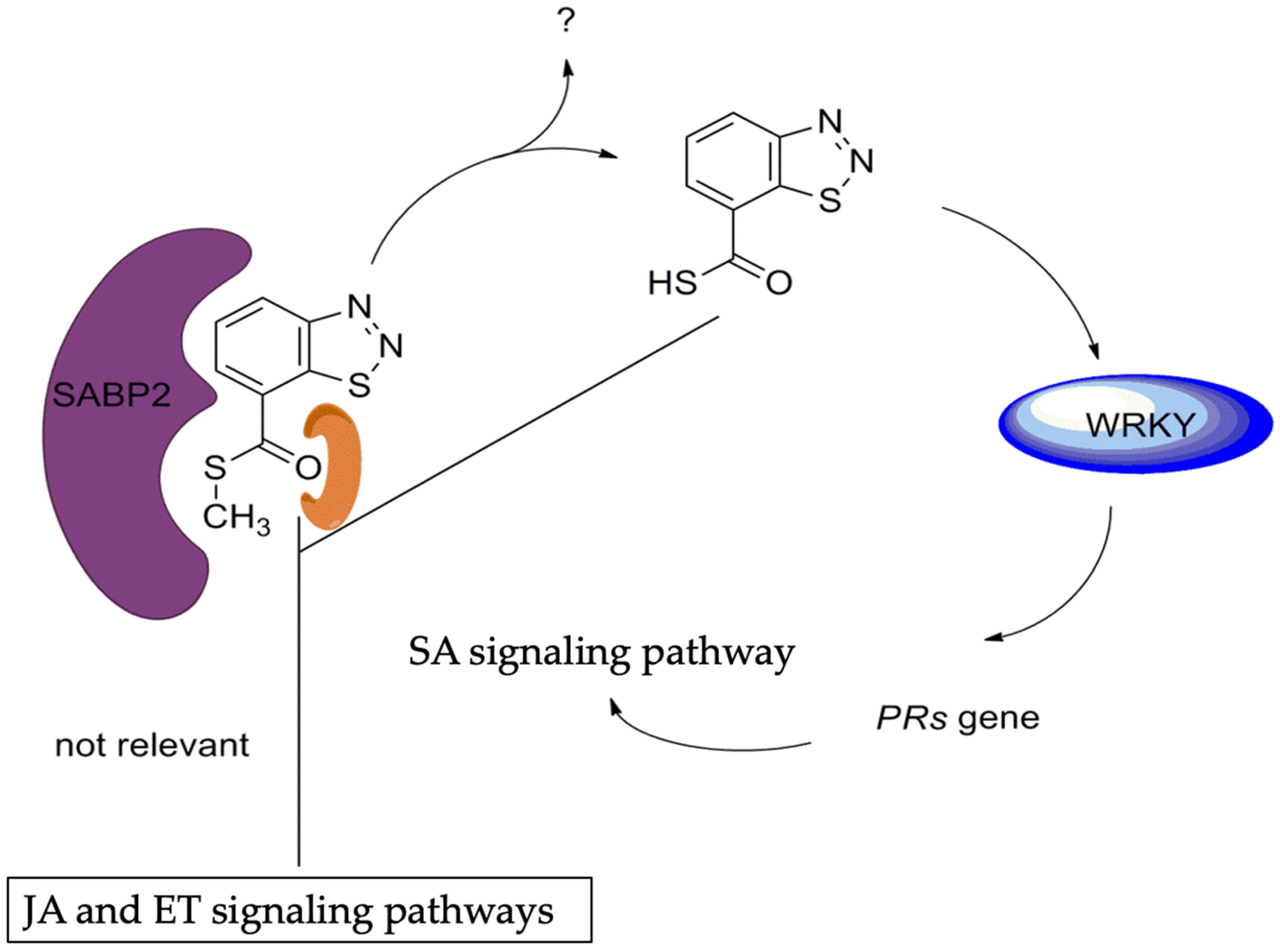 Genes 15 01237 g006 Genes 15 01237 g006