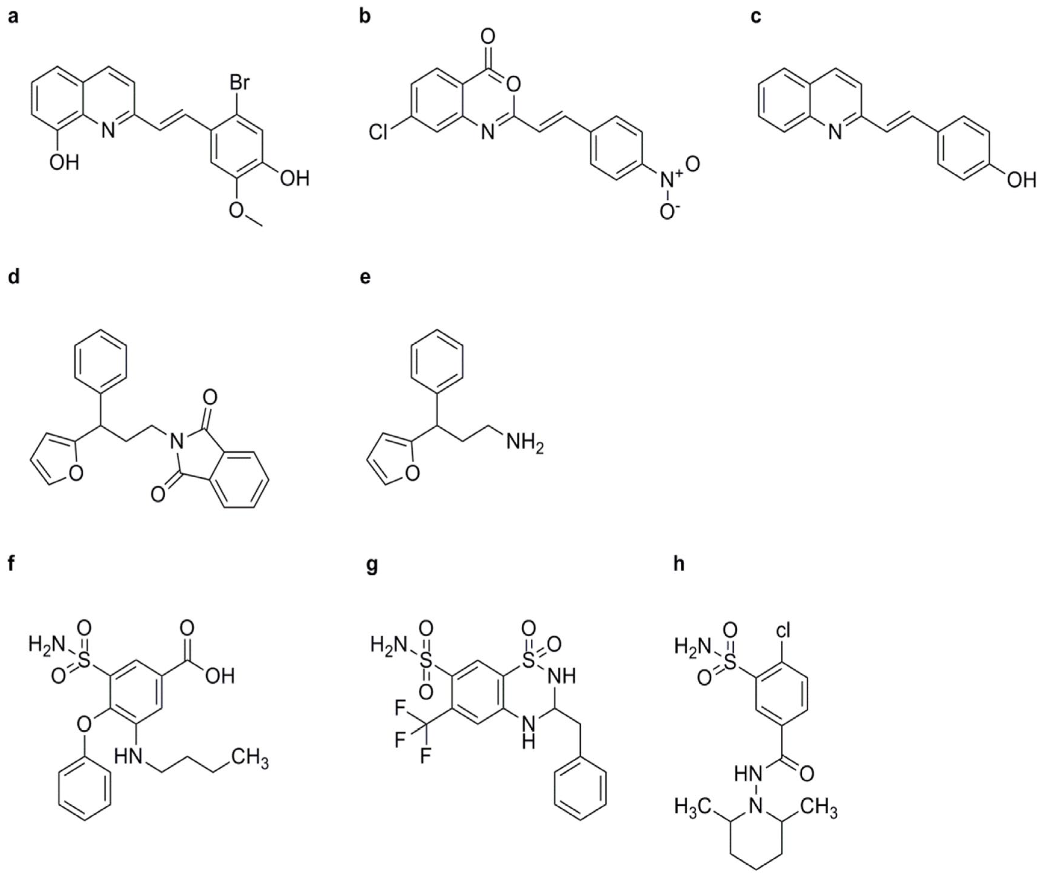 Genes 15 01237 g009 Genes 15 01237 g009