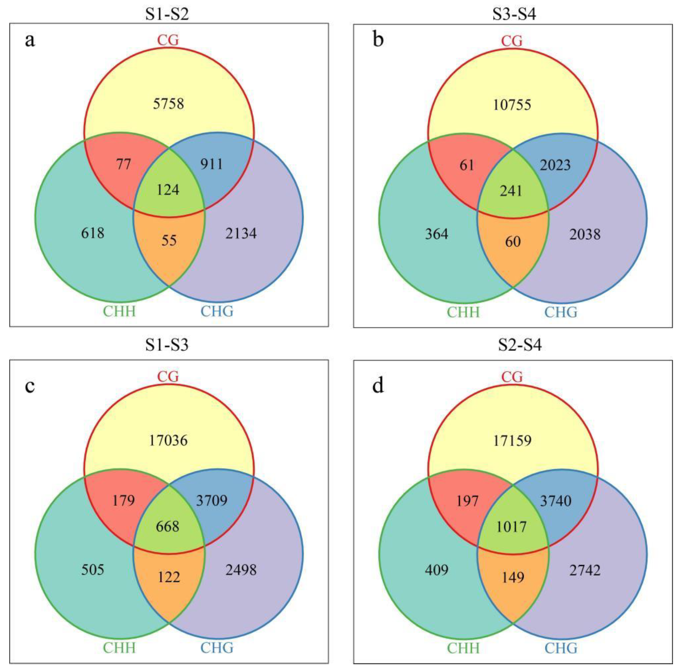 Genes 15 01241 g005 Genes 15 01241 g005