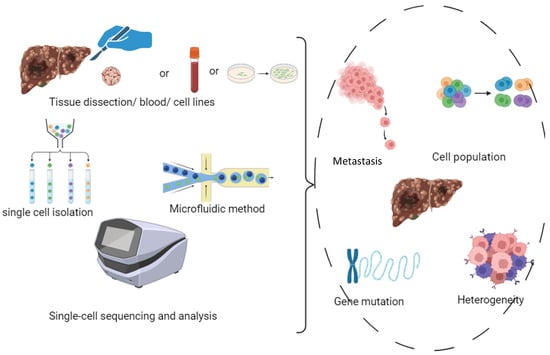 Utilization of Microfluidic Droplet-Based Methods in Diagnosis and ...