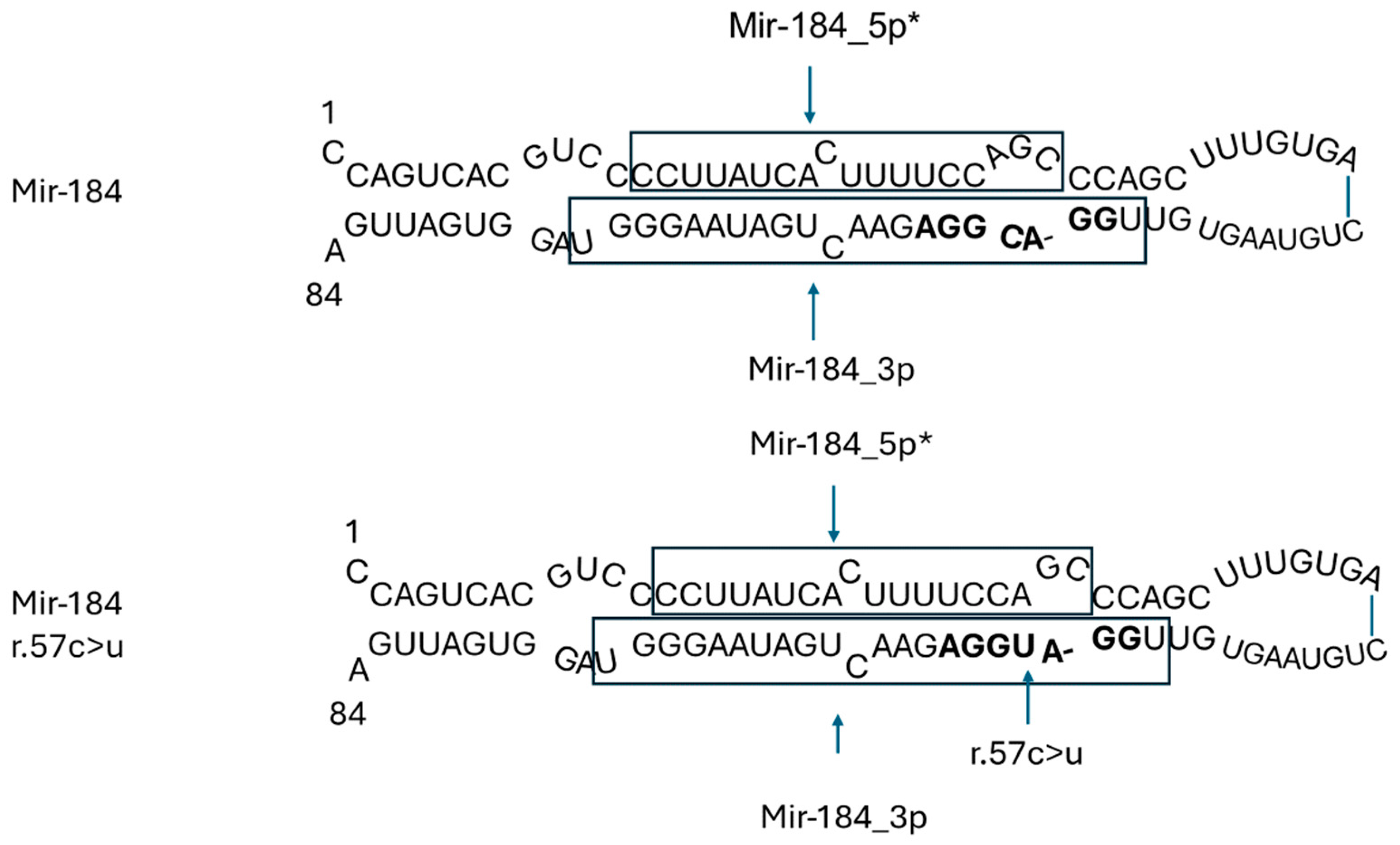 Genes 15 01243 g003 Genes 15 01243 g003