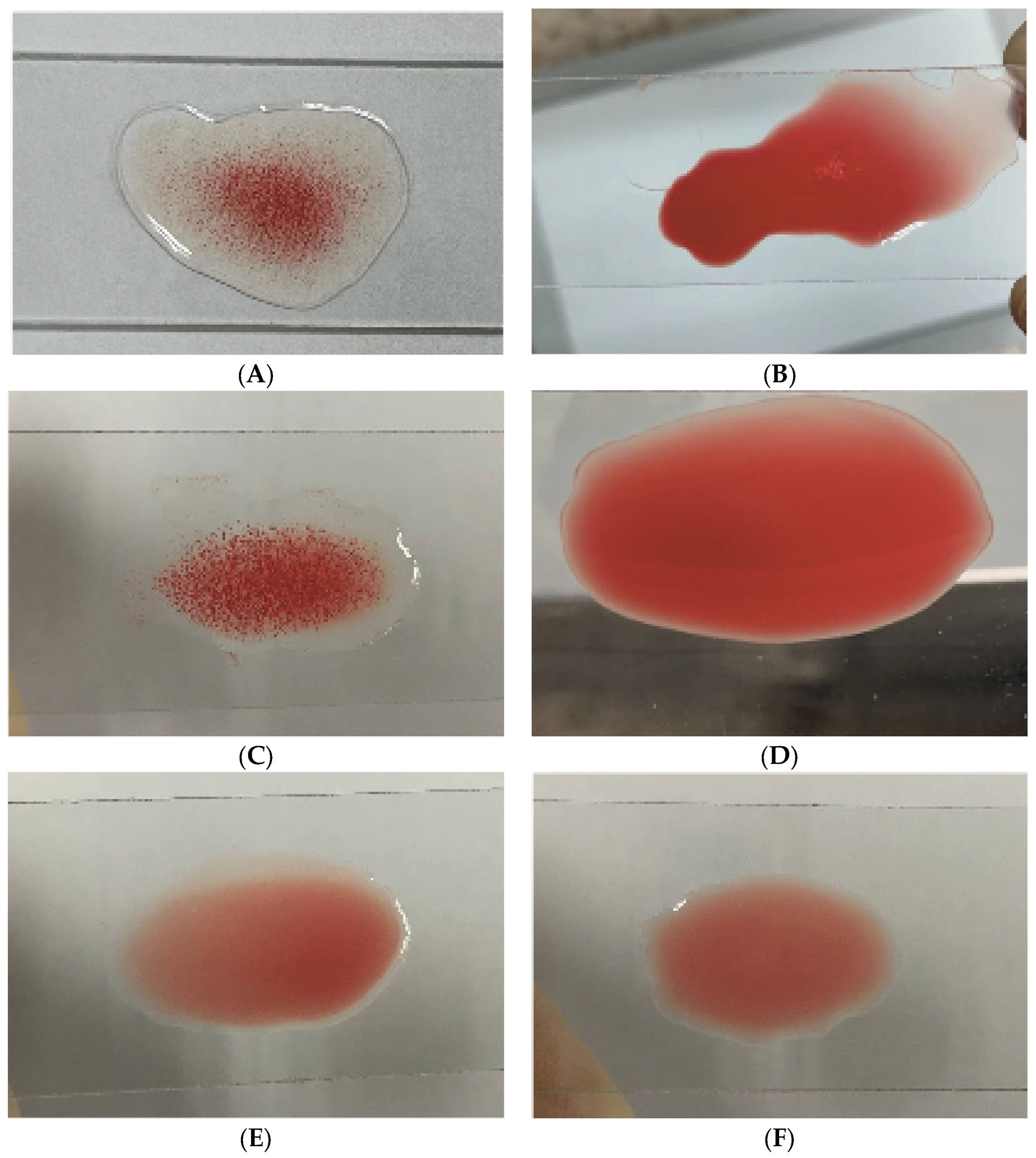 Genes 15 01253 g004 Genes 15 01253 g004