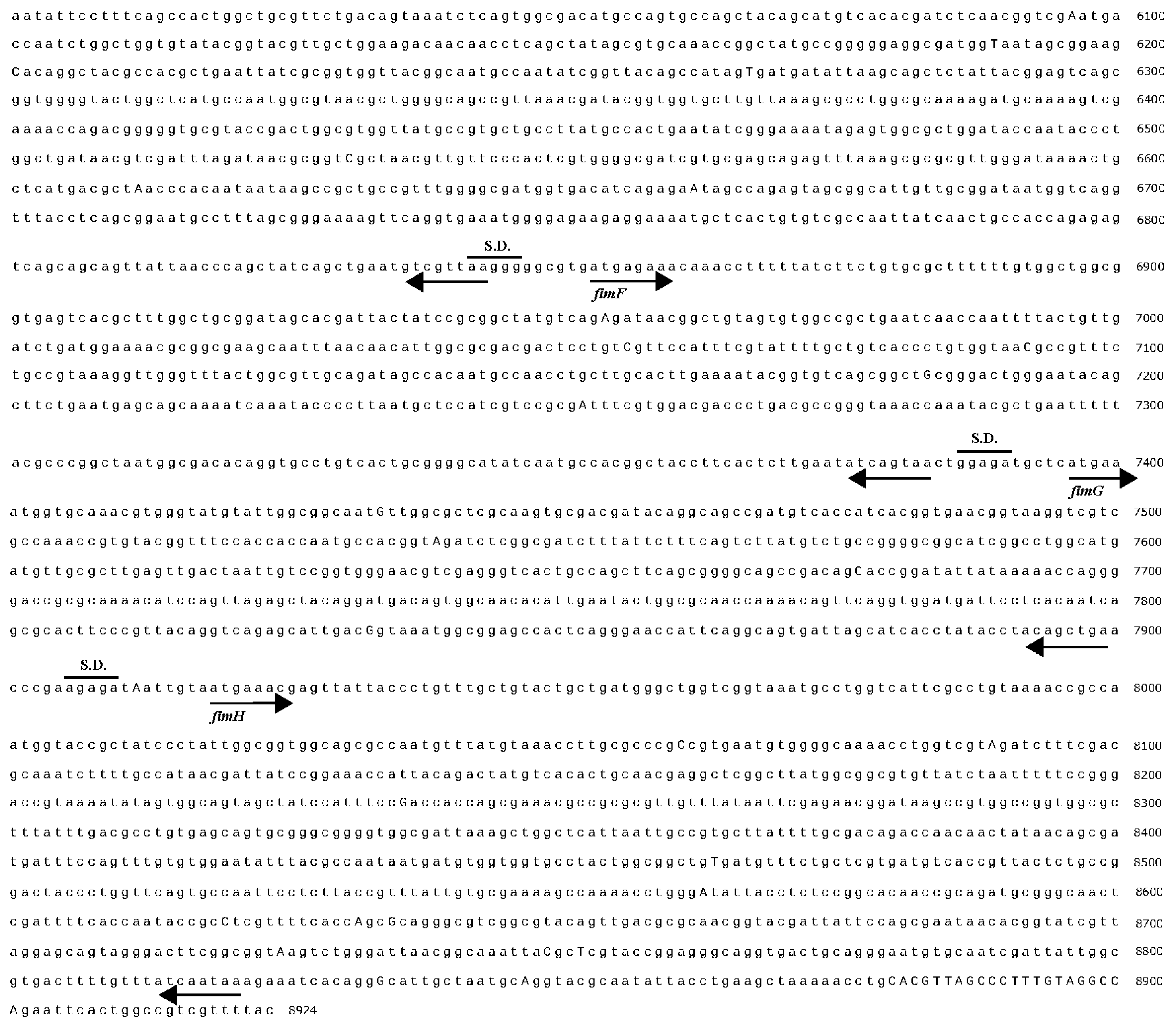 Genes 15 01253 g005b Genes 15 01253 g005b