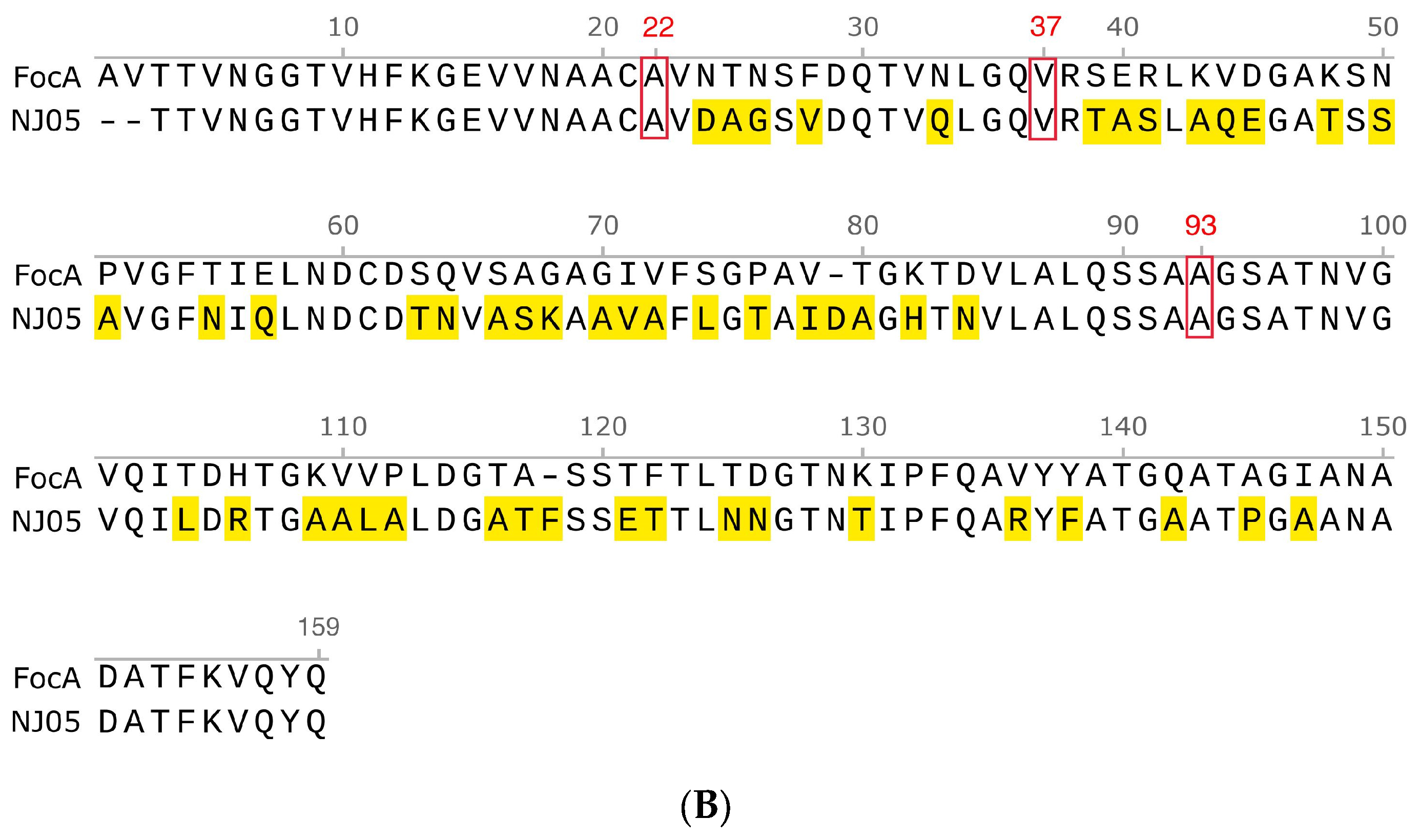 Genes 15 01253 g007b Genes 15 01253 g007b