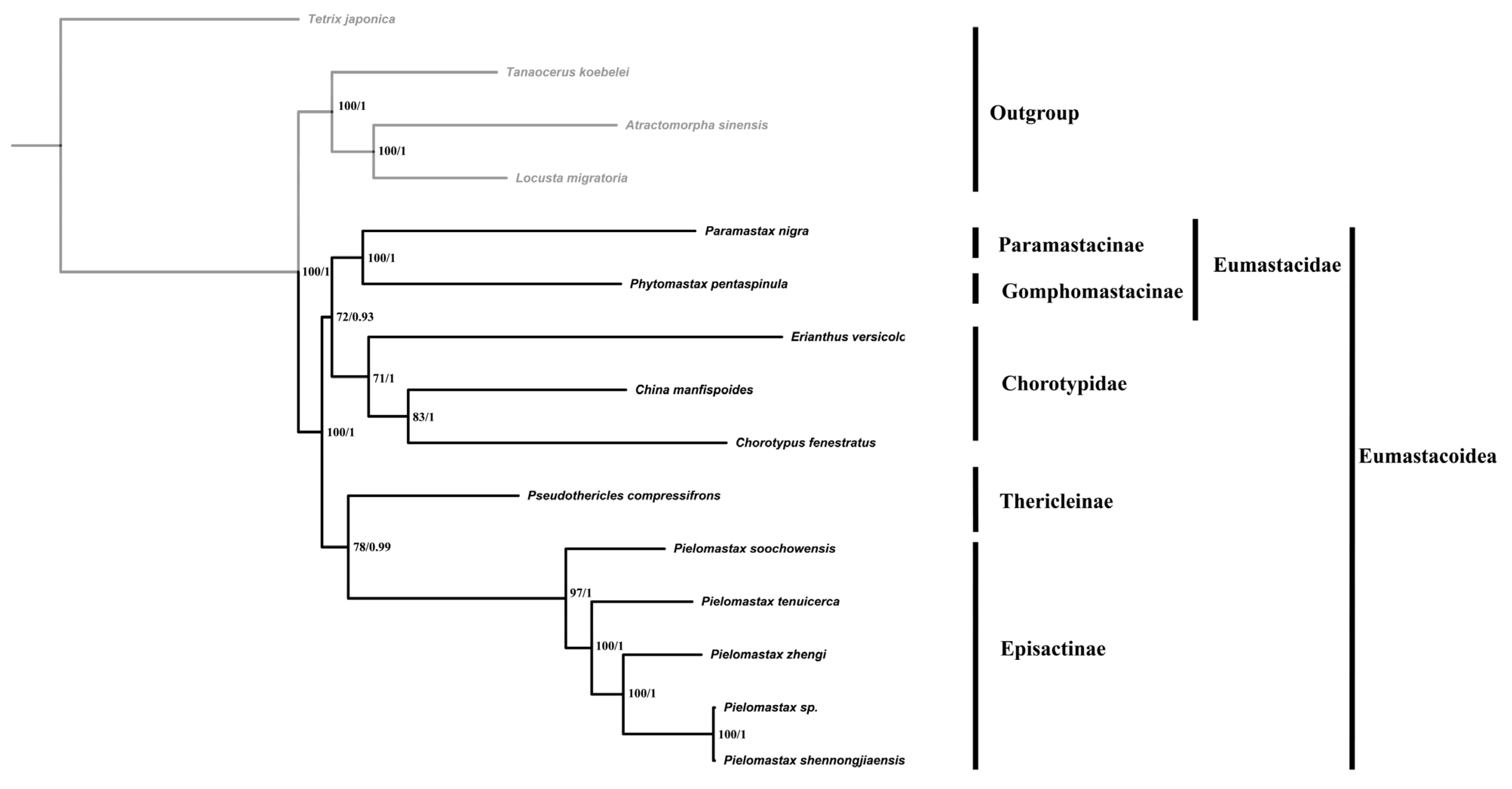 Genes 15 01260 g002