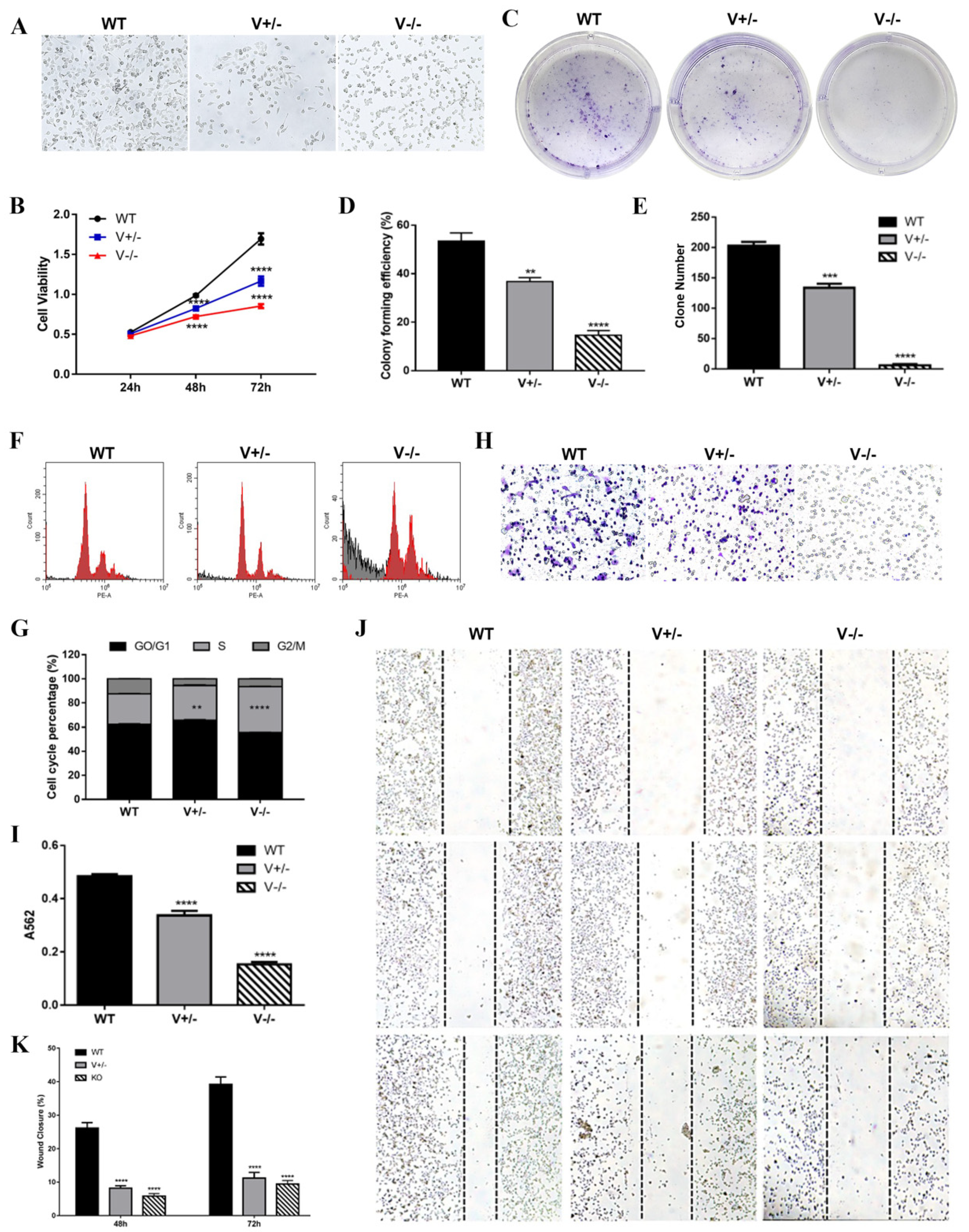 Genes 15 01266 g003 Genes 15 01266 g003