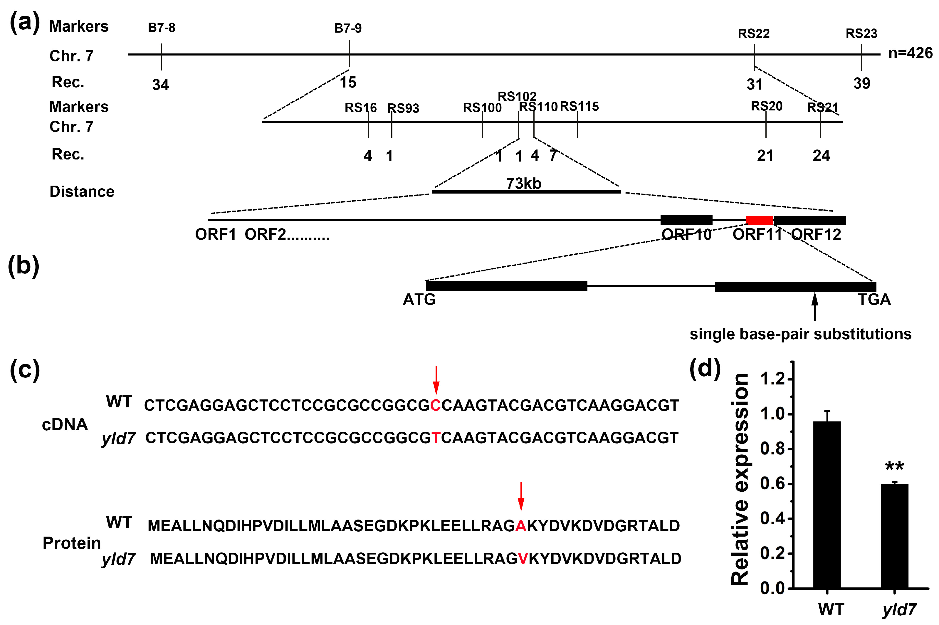 Genes 15 01267 g004
