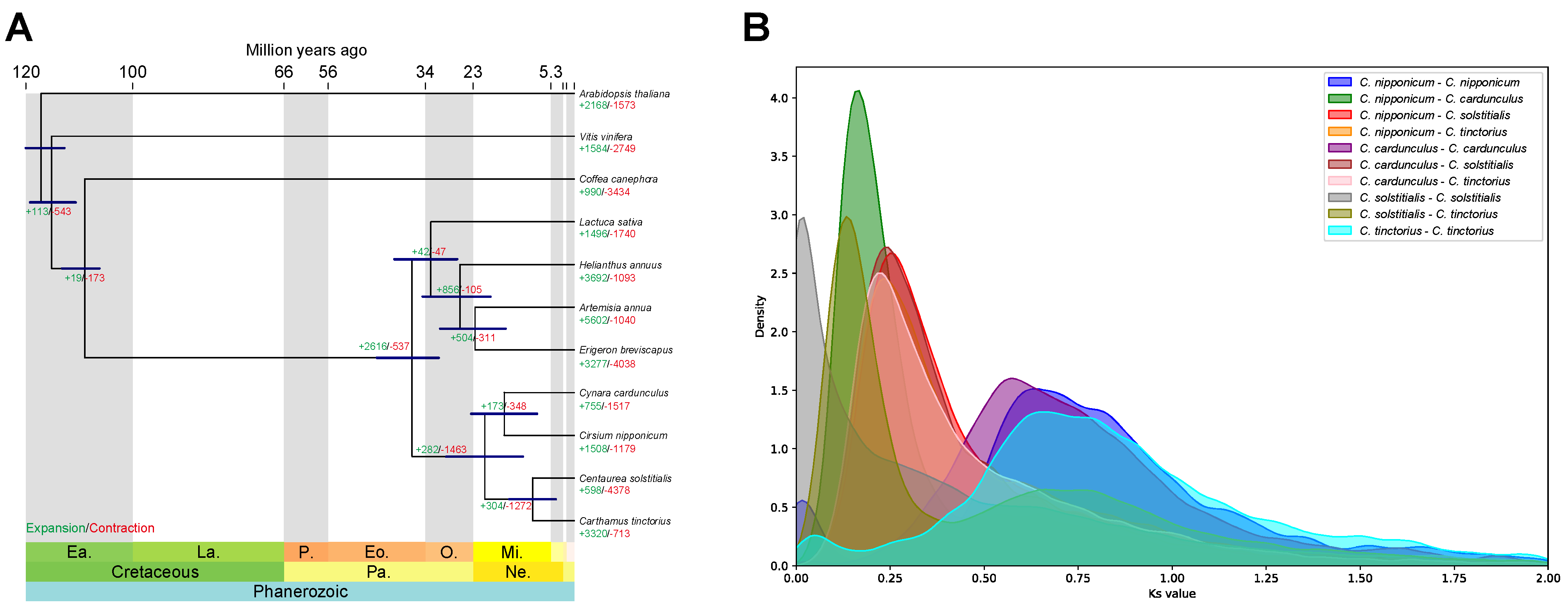 Genes 15 01269 g002