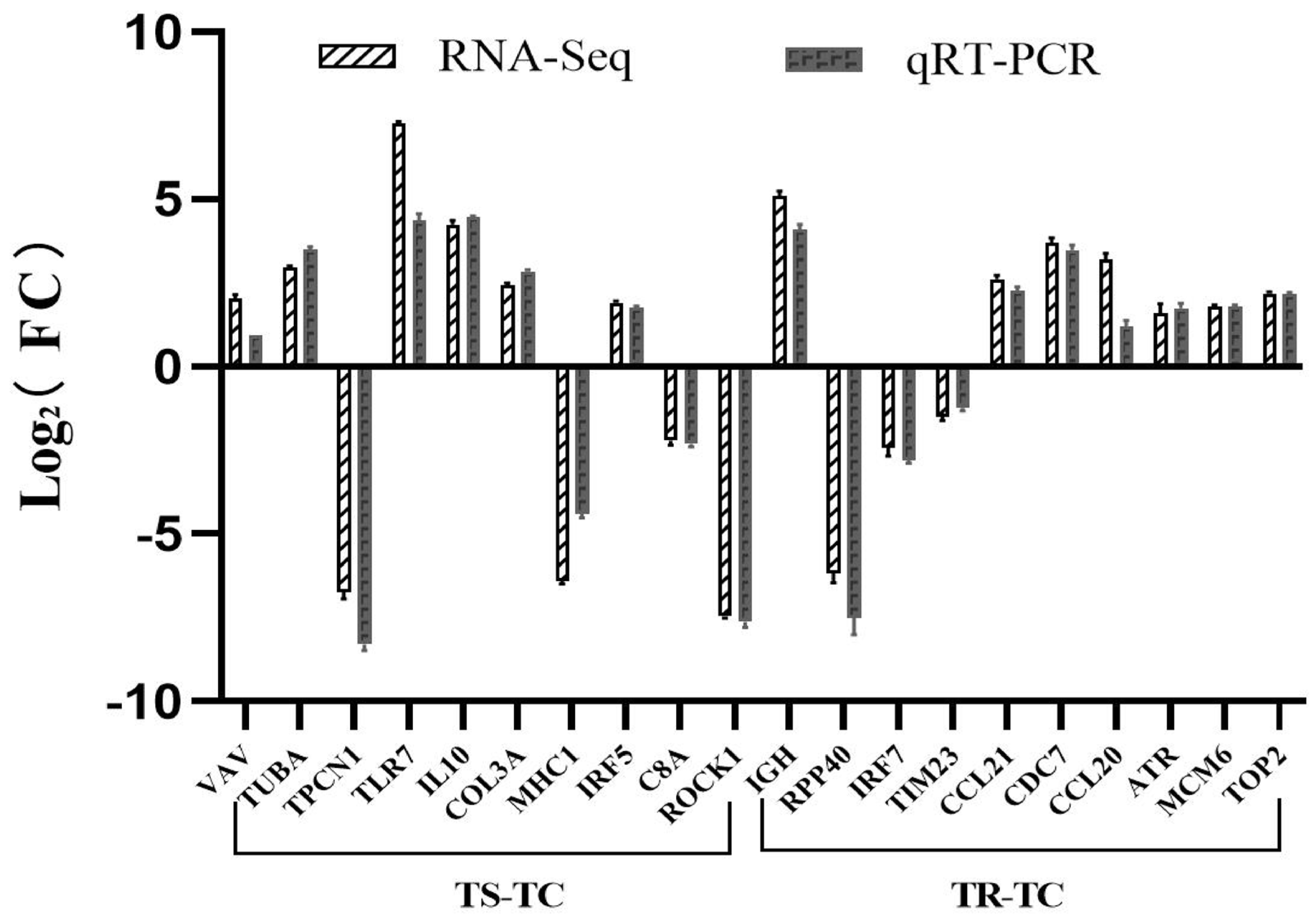 Genes 15 01273 g010