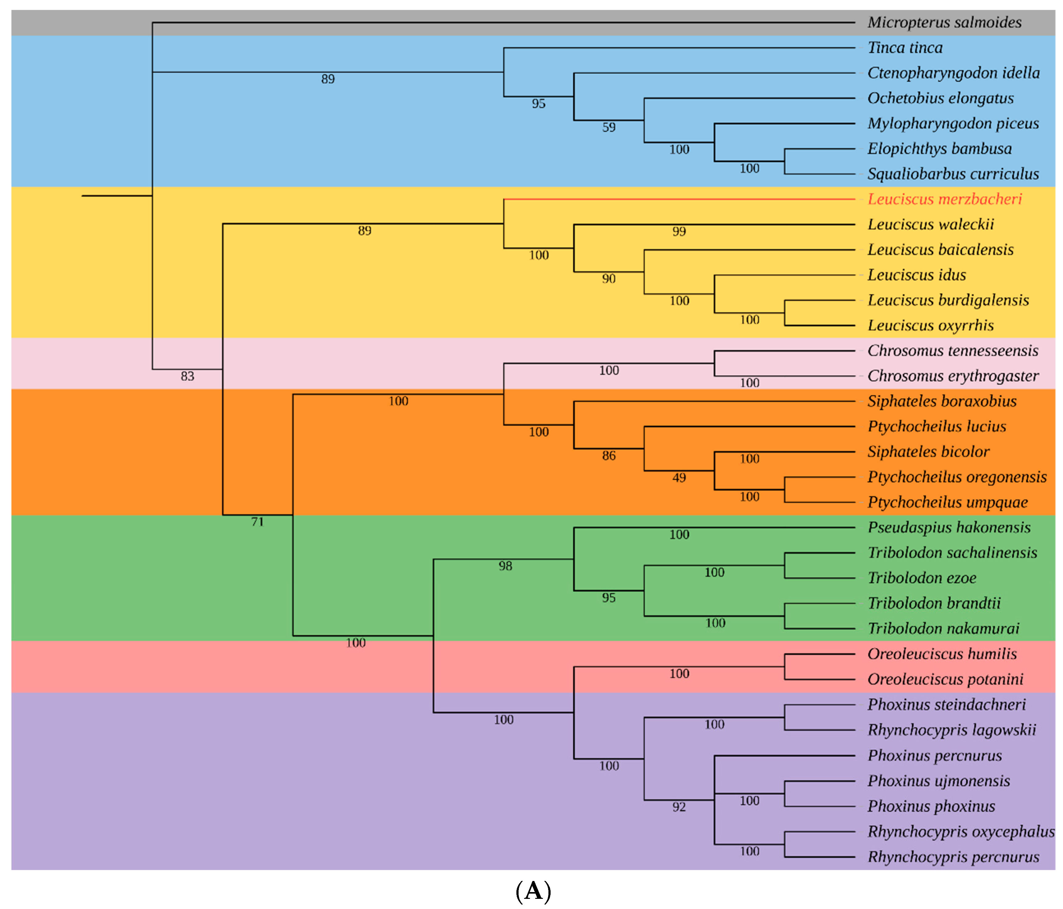 Genes 15 01284 g004a