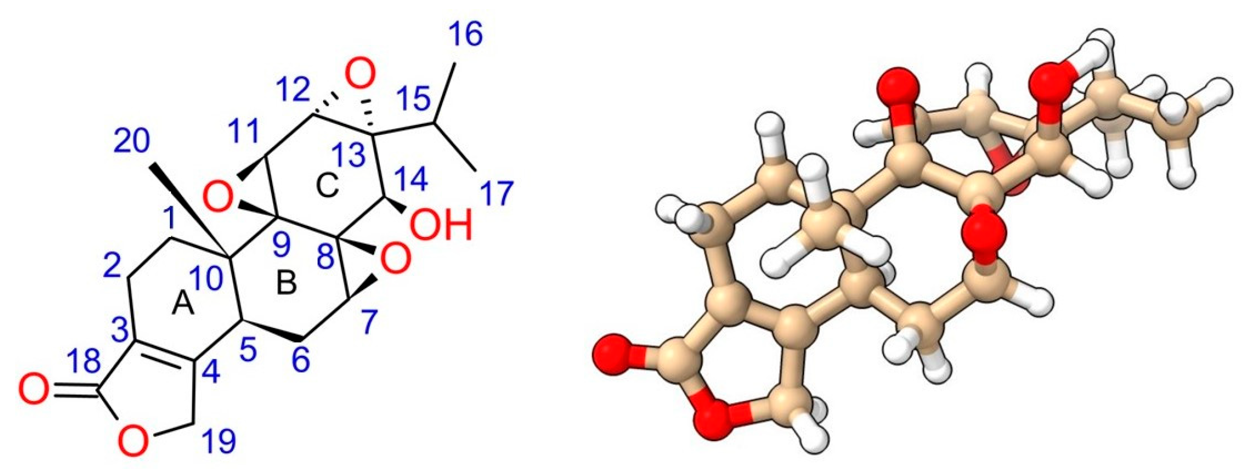 Genes 15 01287 g001 Genes 15 01287 g001