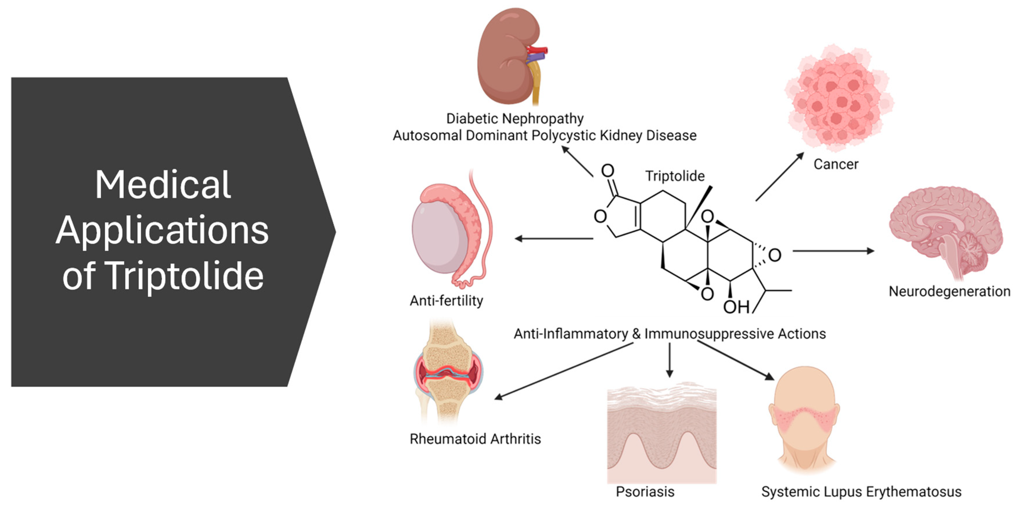 Genes 15 01287 g003 Genes 15 01287 g003