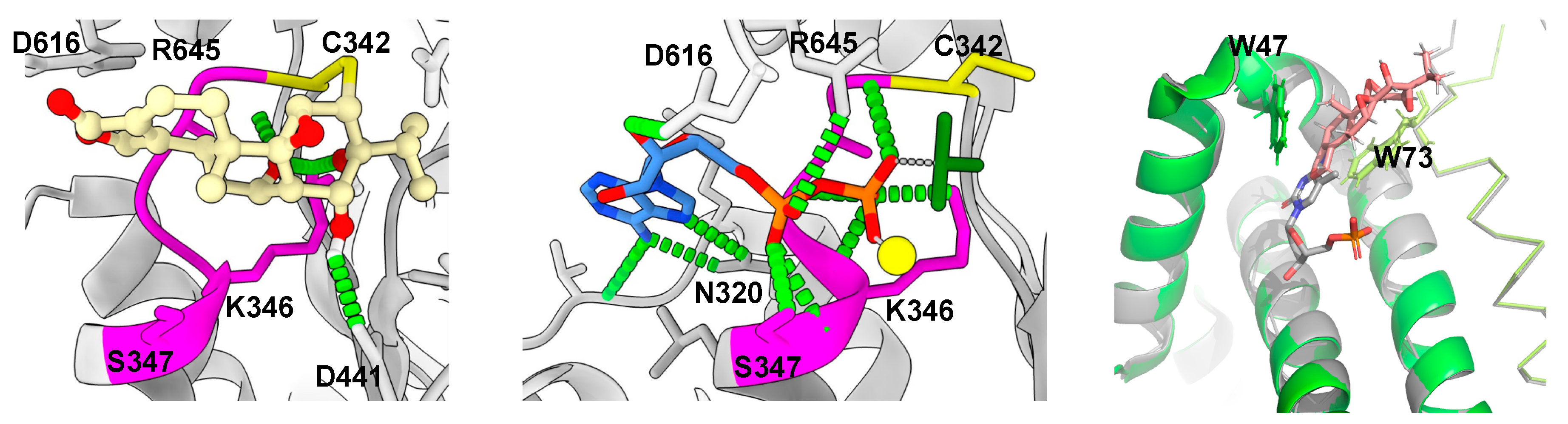 Genes 15 01287 g005 Genes 15 01287 g005