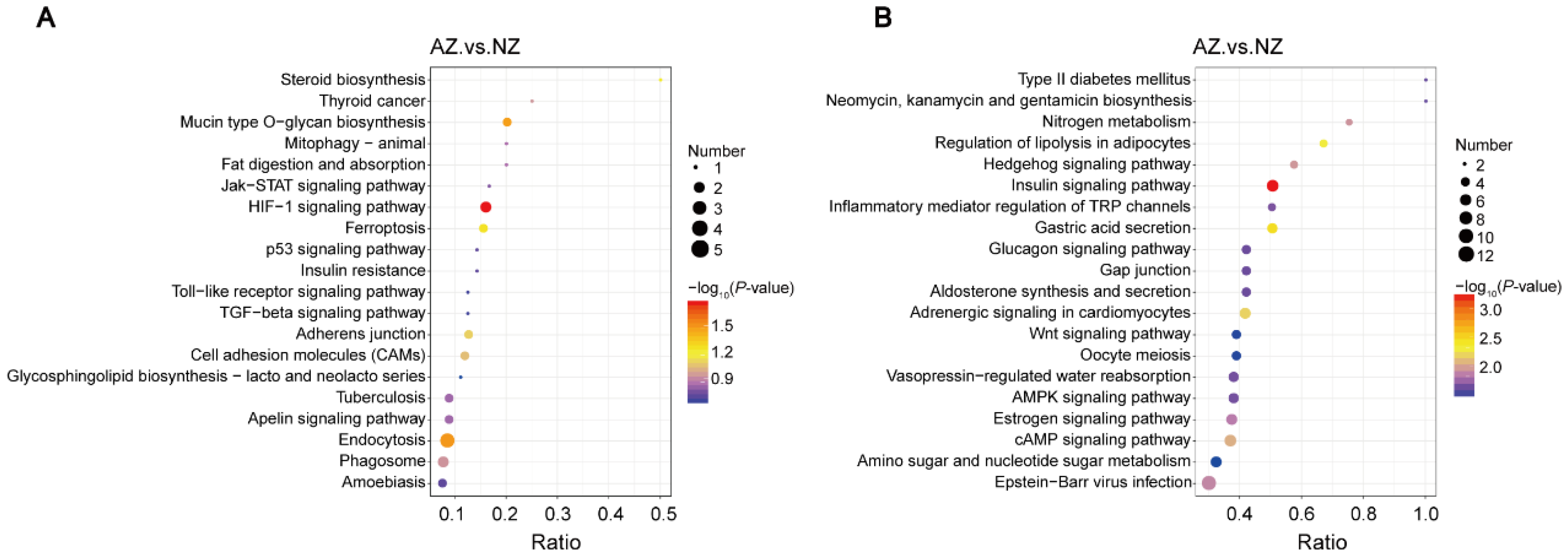 Genes 15 01288 g004